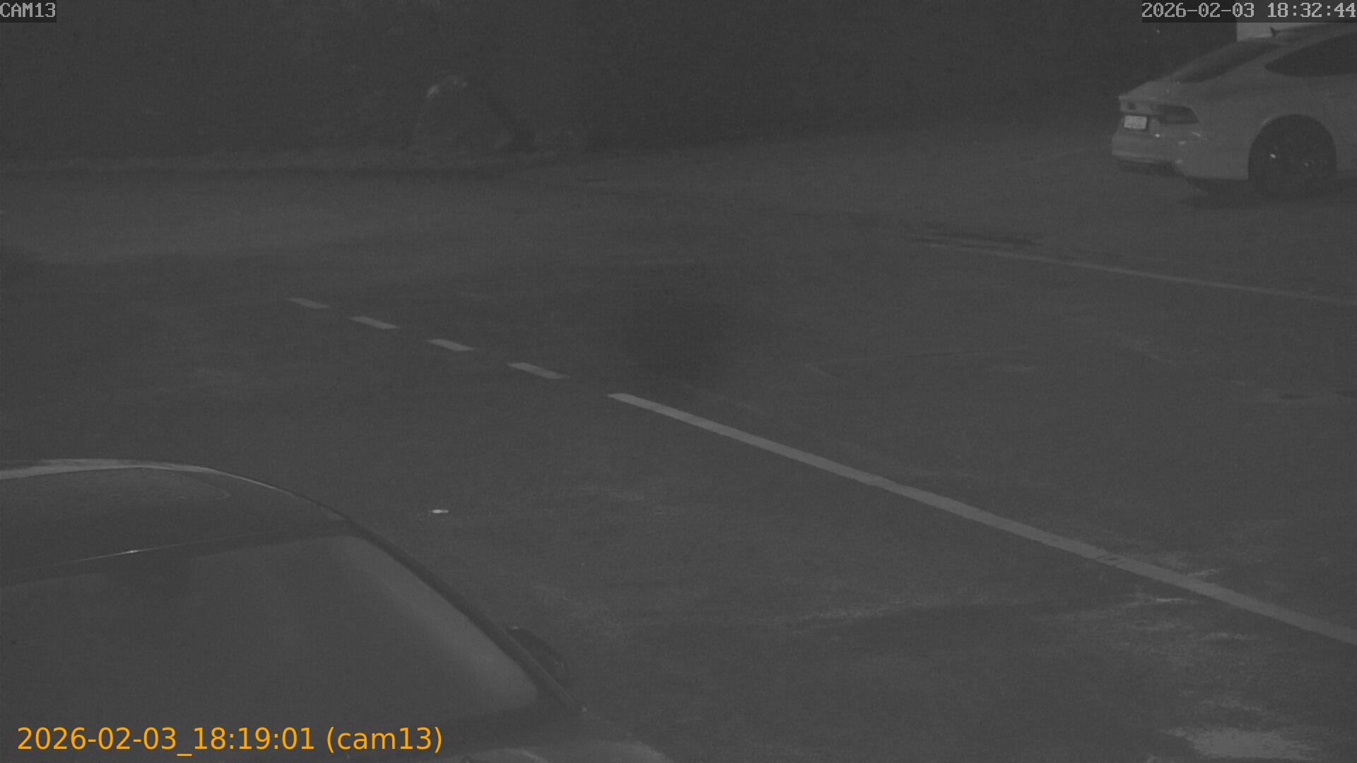 thumbnail_20260203181901