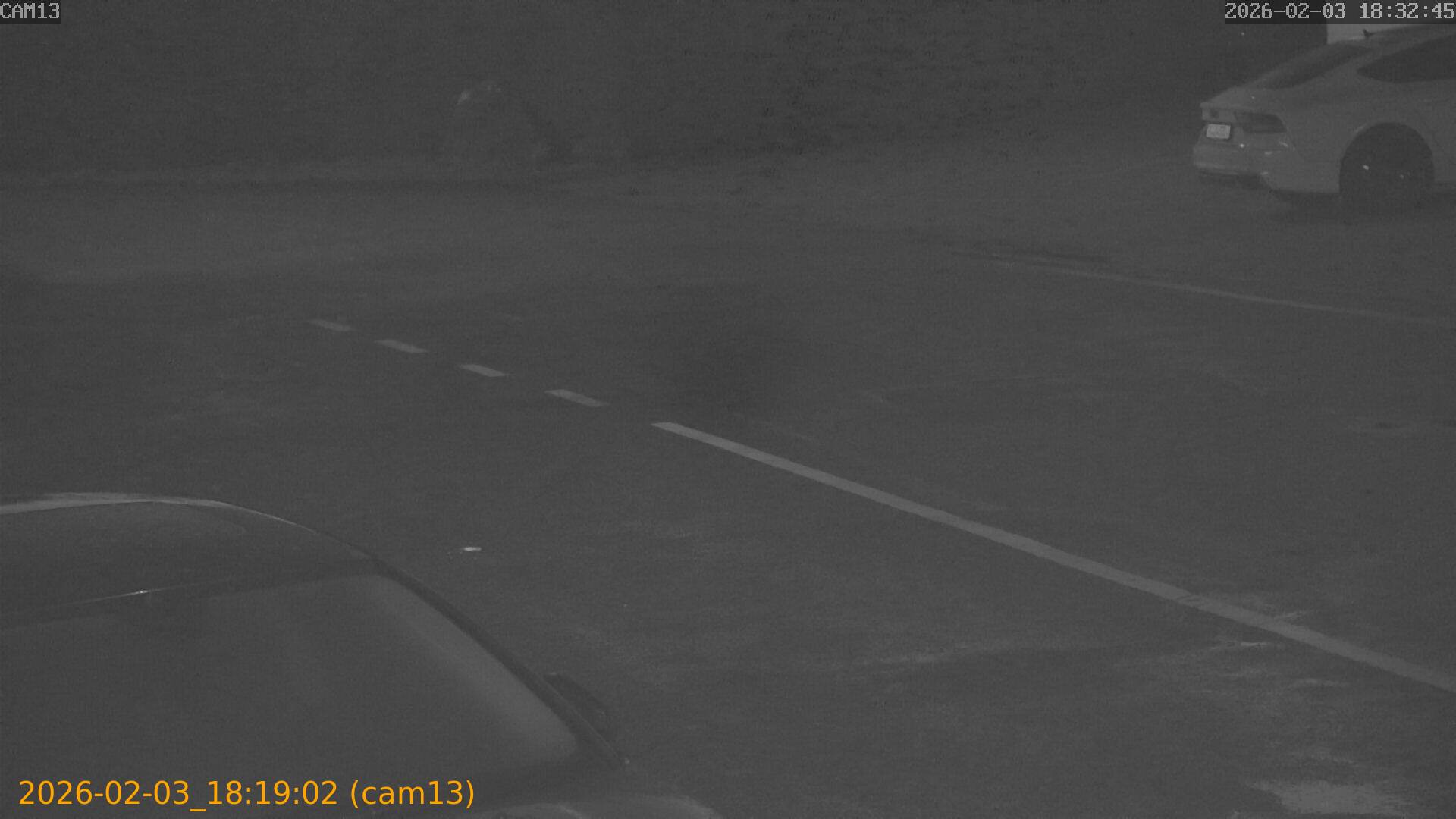 thumbnail_20260203181902