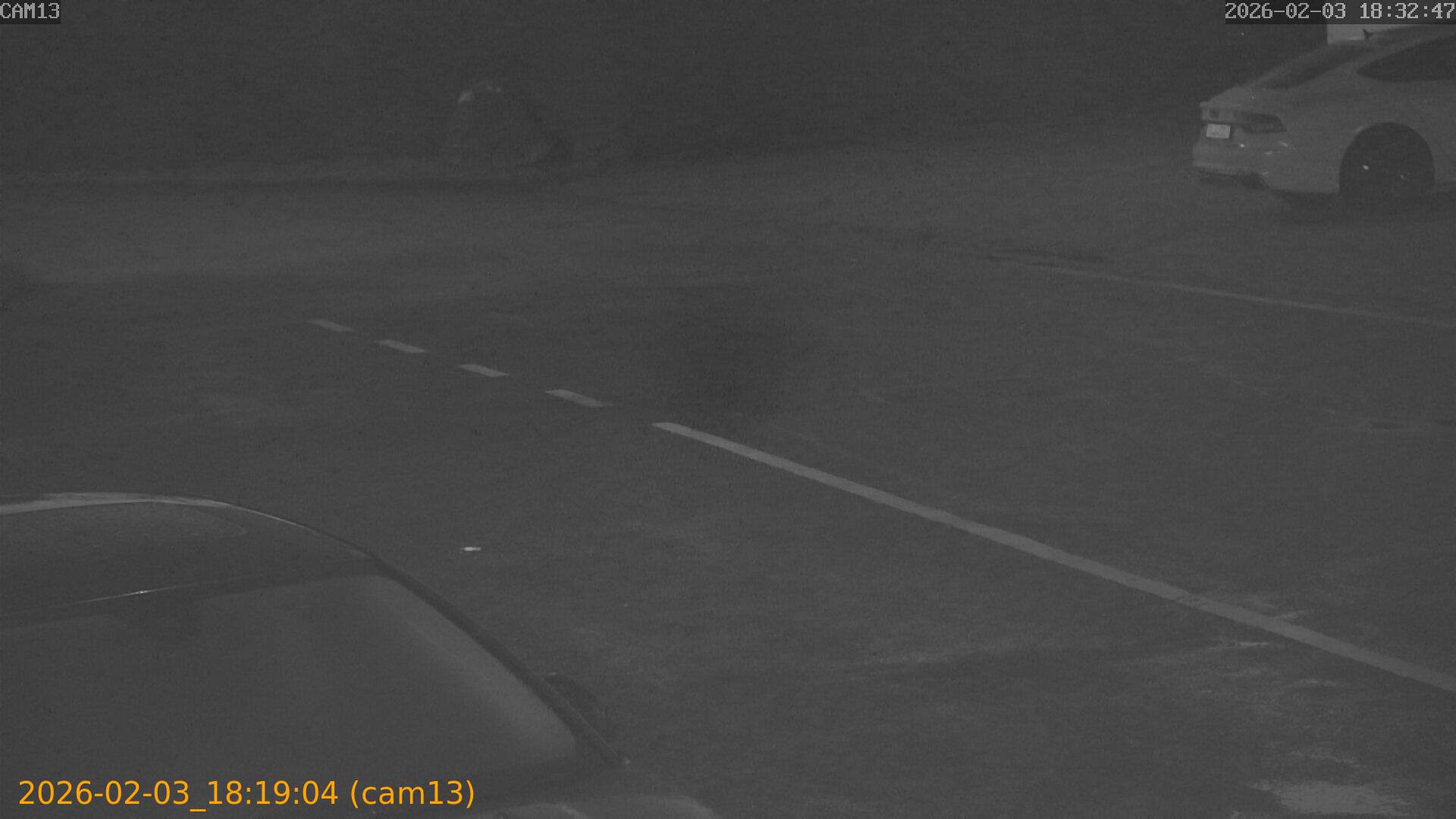 thumbnail_20260203181904