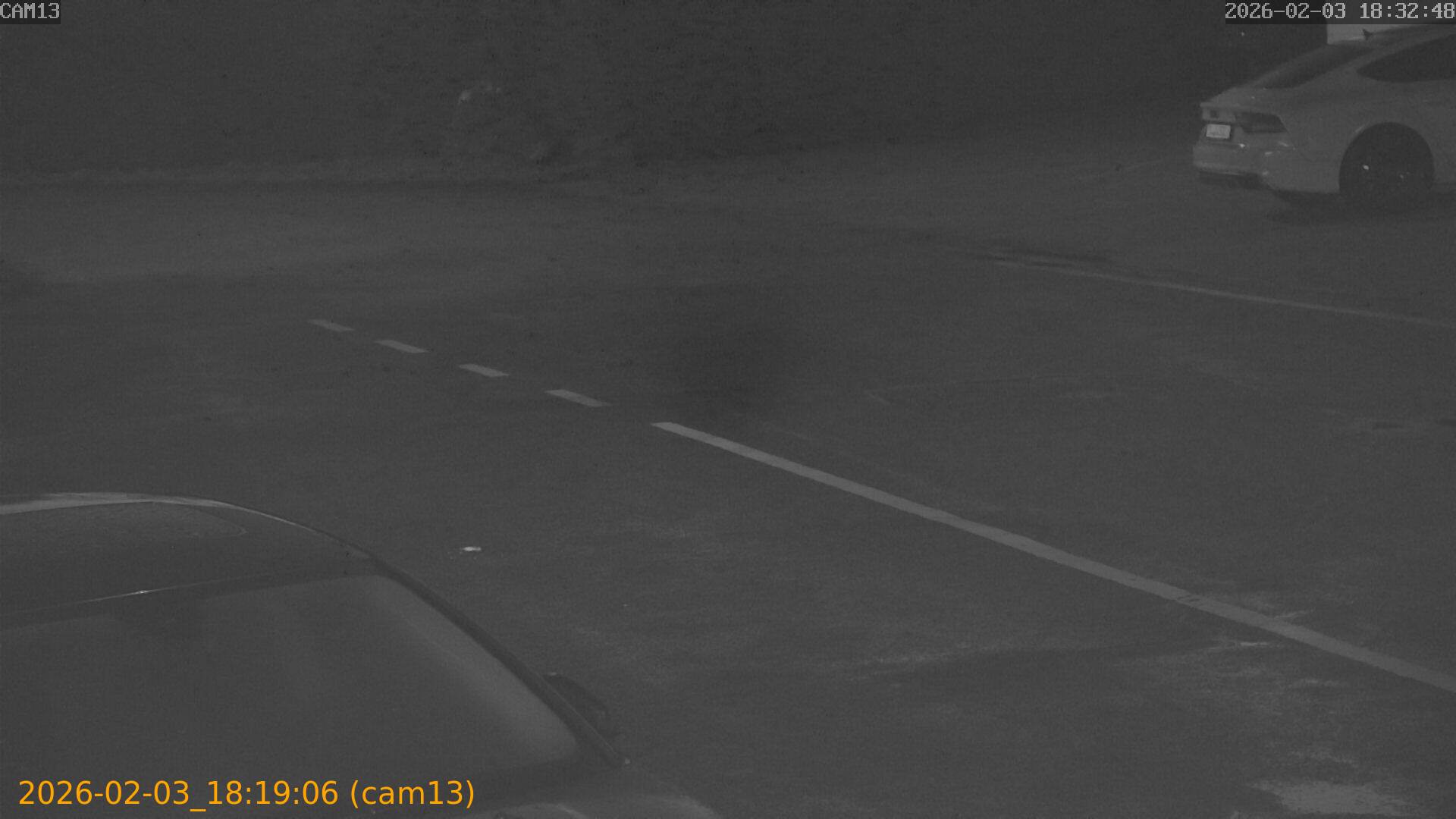 thumbnail_20260203181906