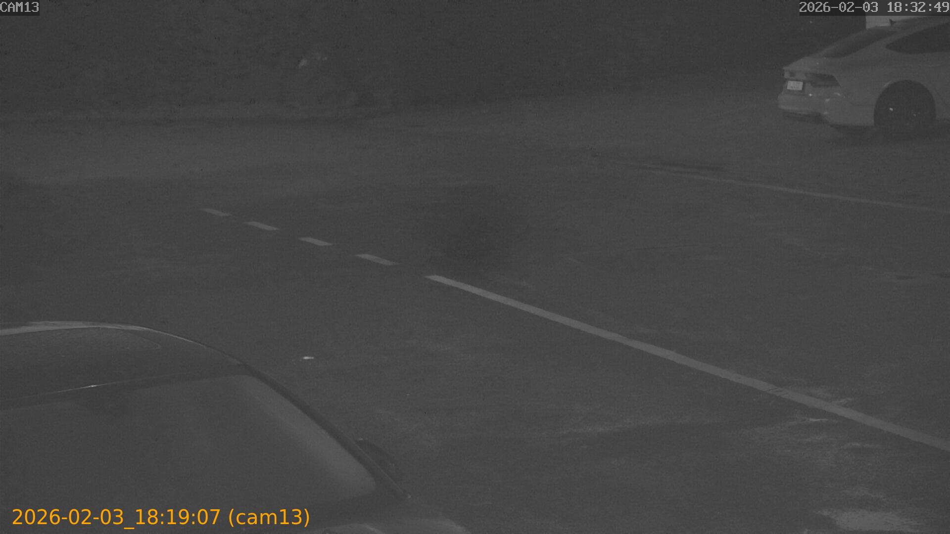 thumbnail_20260203181907