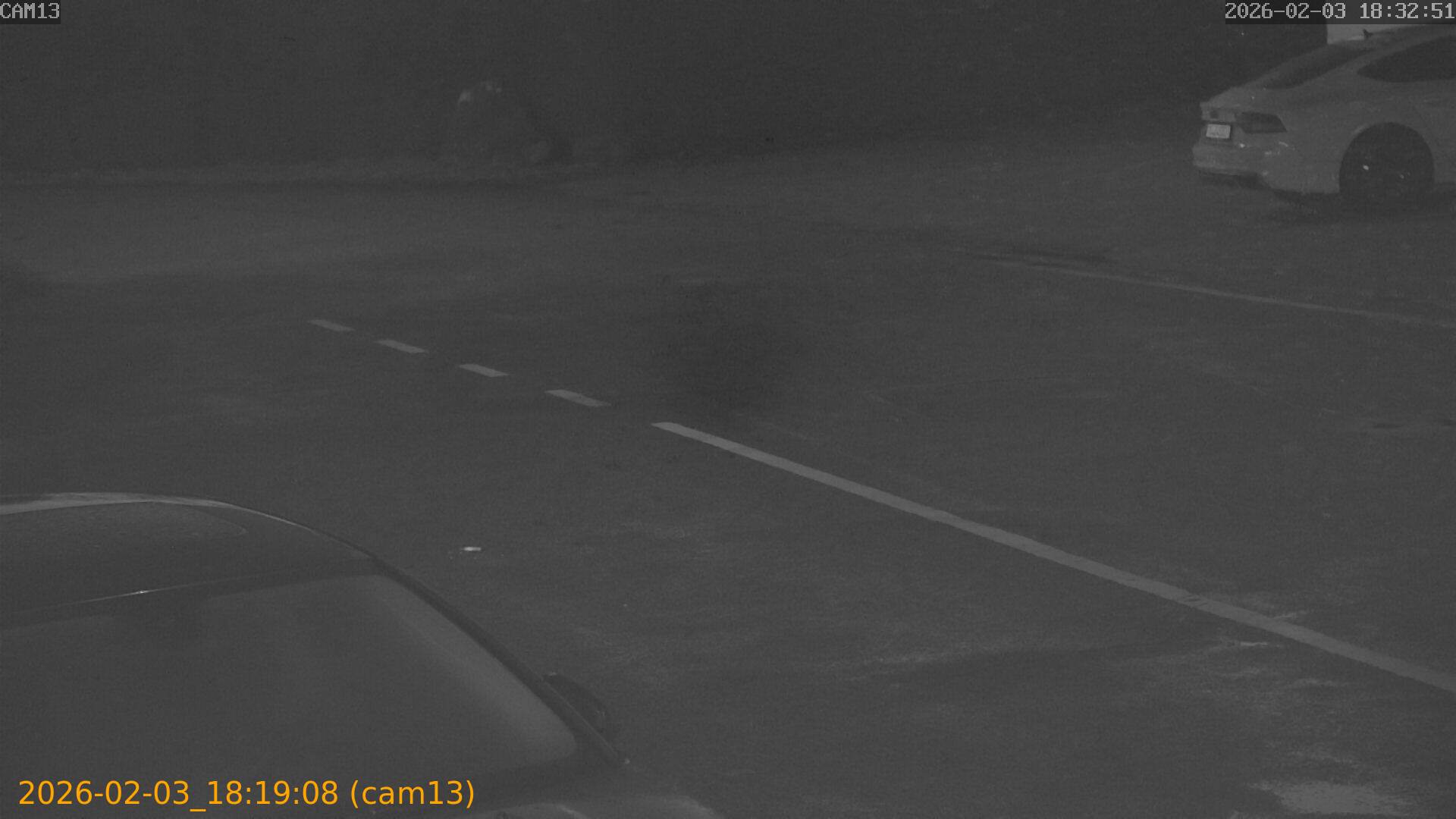 thumbnail_20260203181908