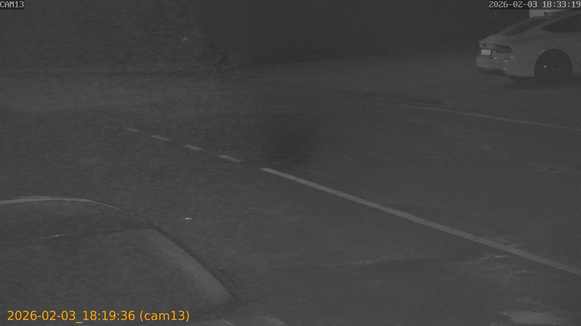 thumbnail_20260203181936