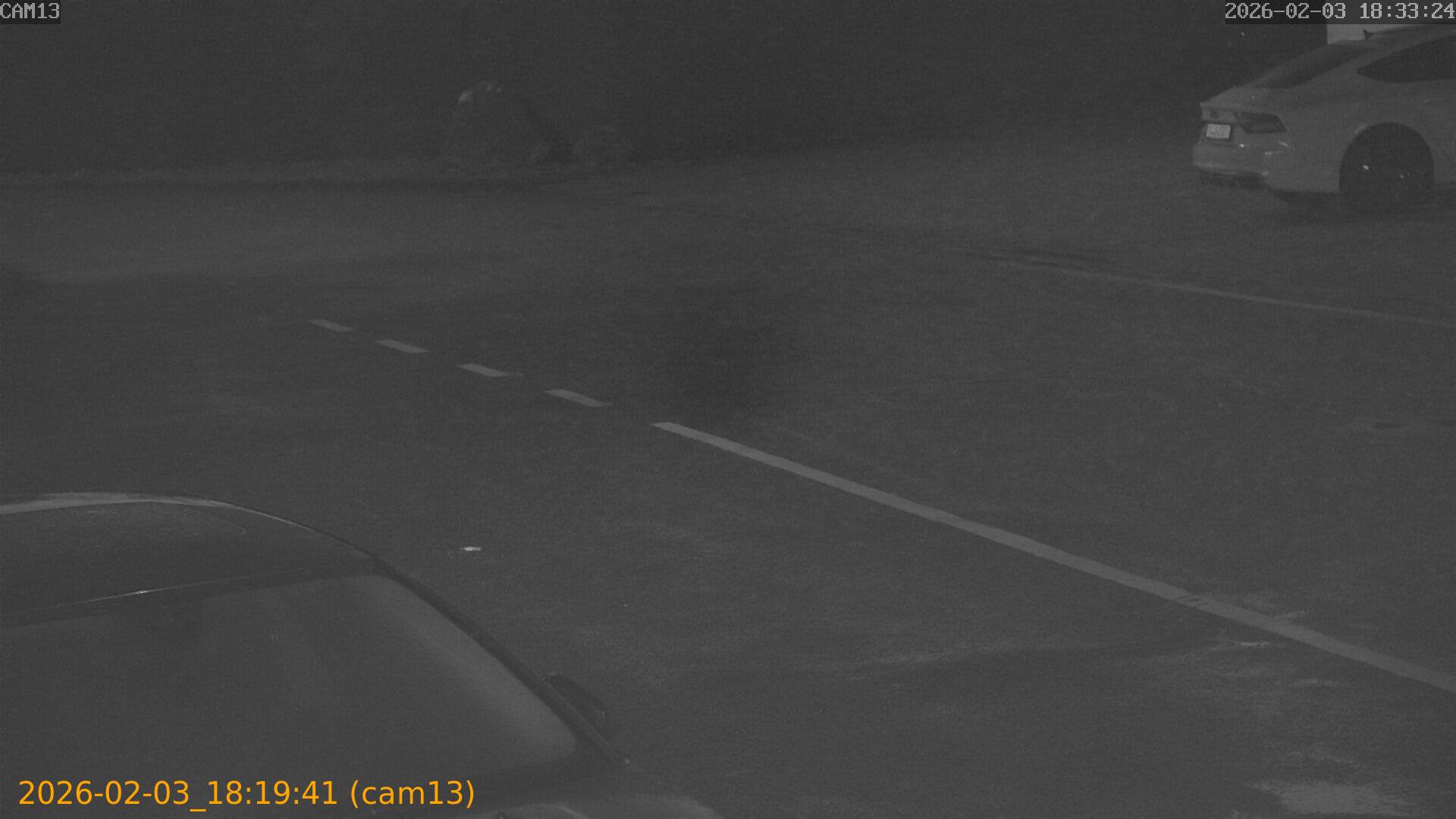 thumbnail_20260203181941