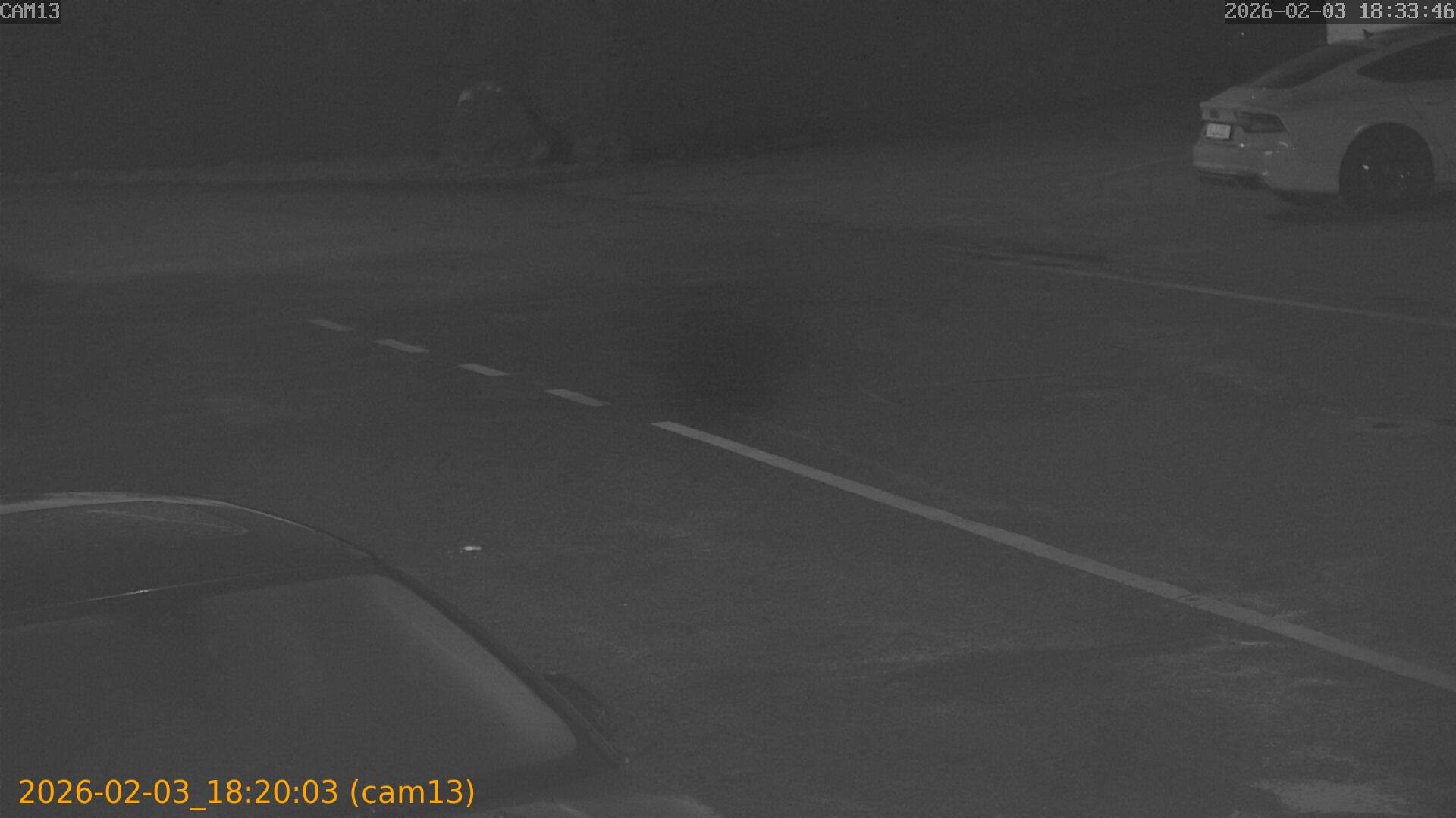 thumbnail_20260203182003