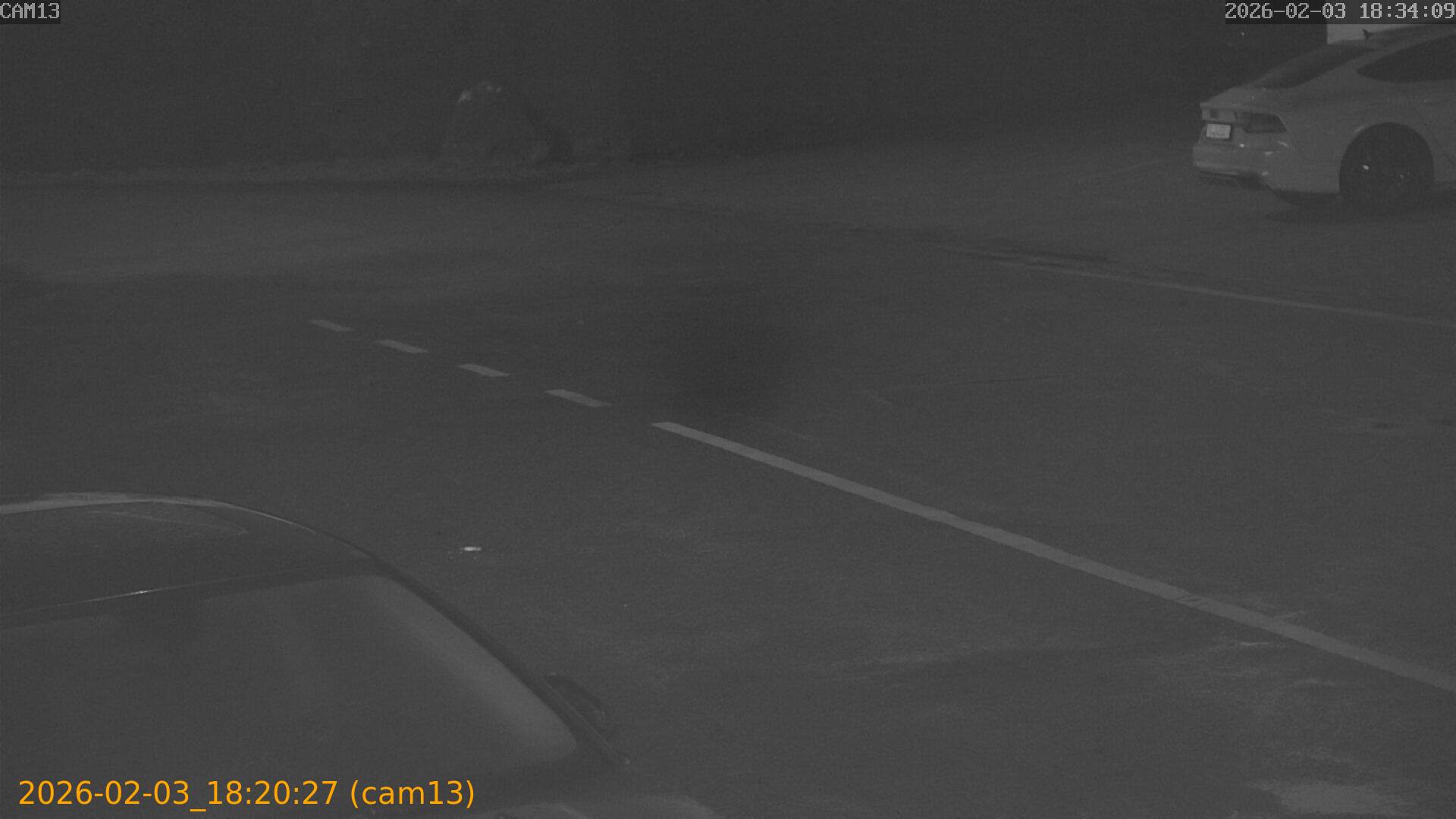 thumbnail_20260203182027