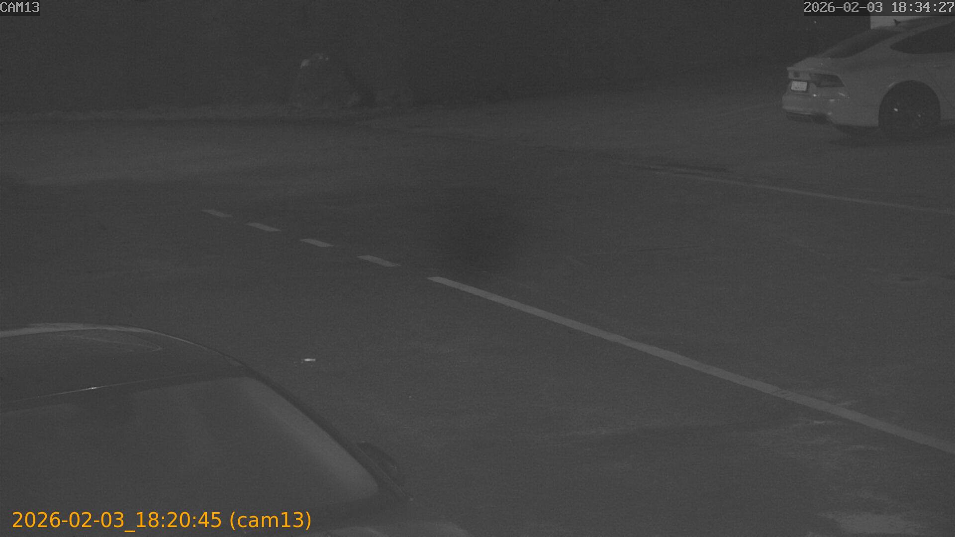 thumbnail_20260203182045