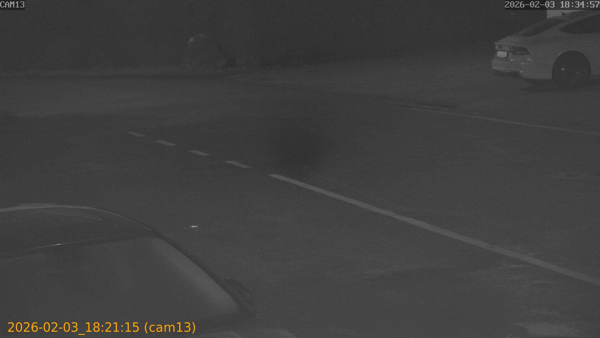 thumbnail_20260203182115