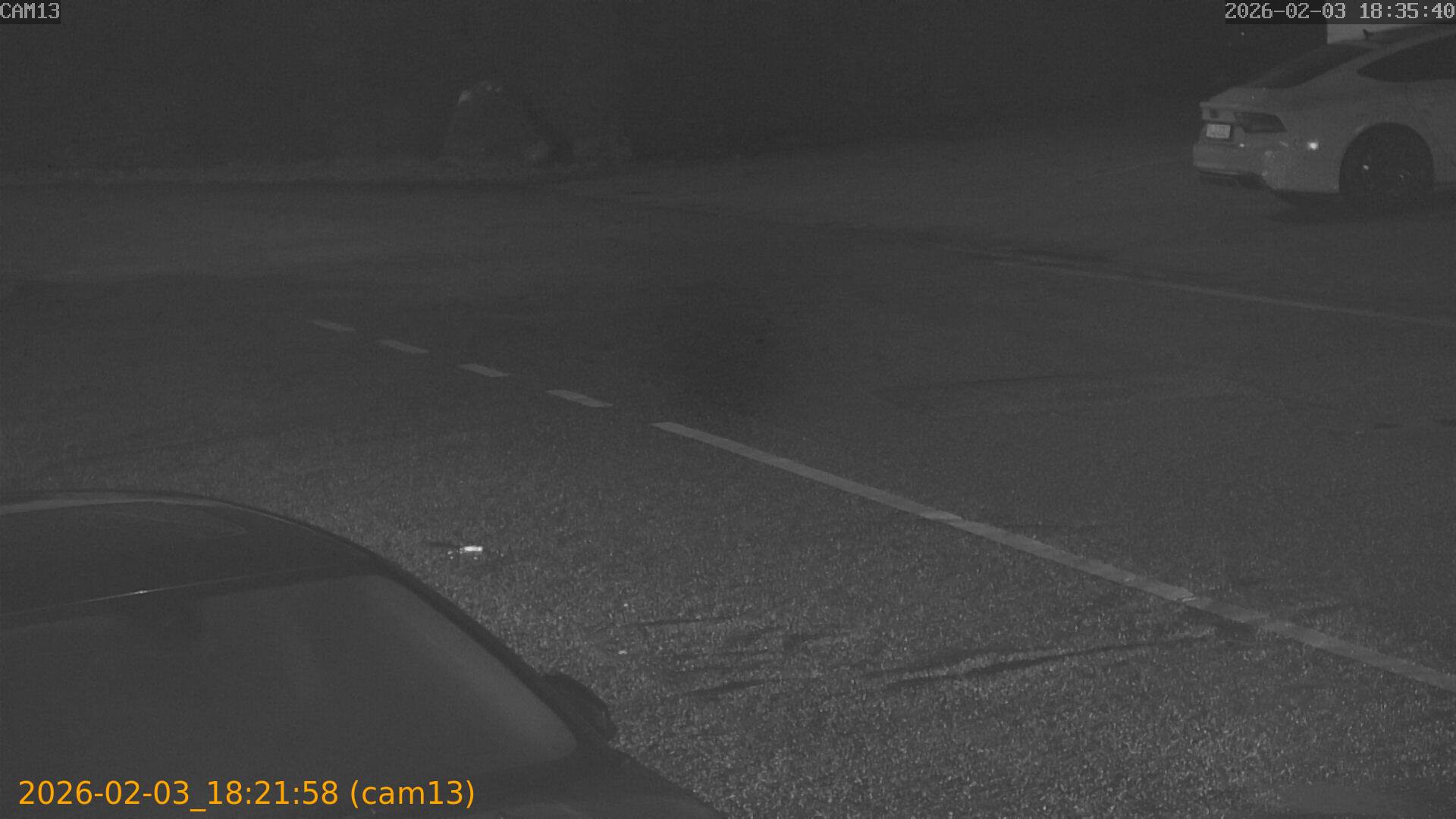 thumbnail_20260203182158