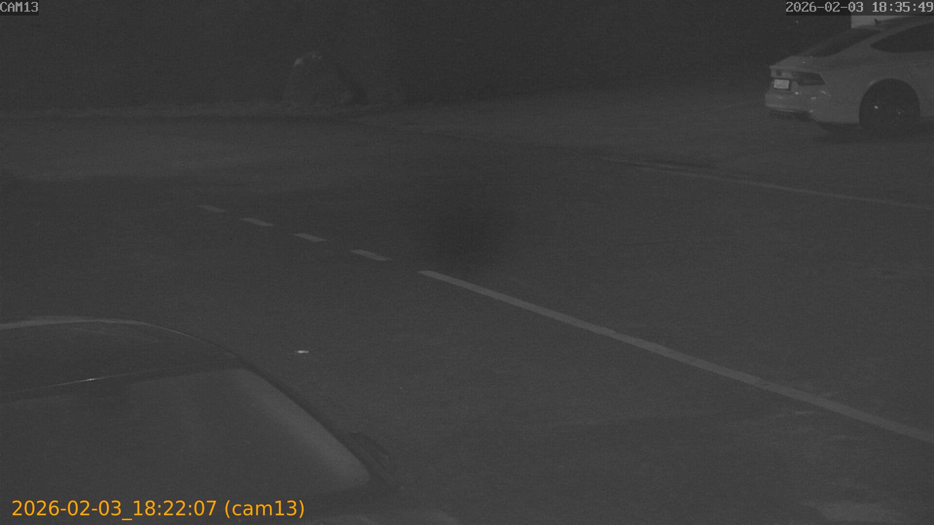 thumbnail_20260203182207