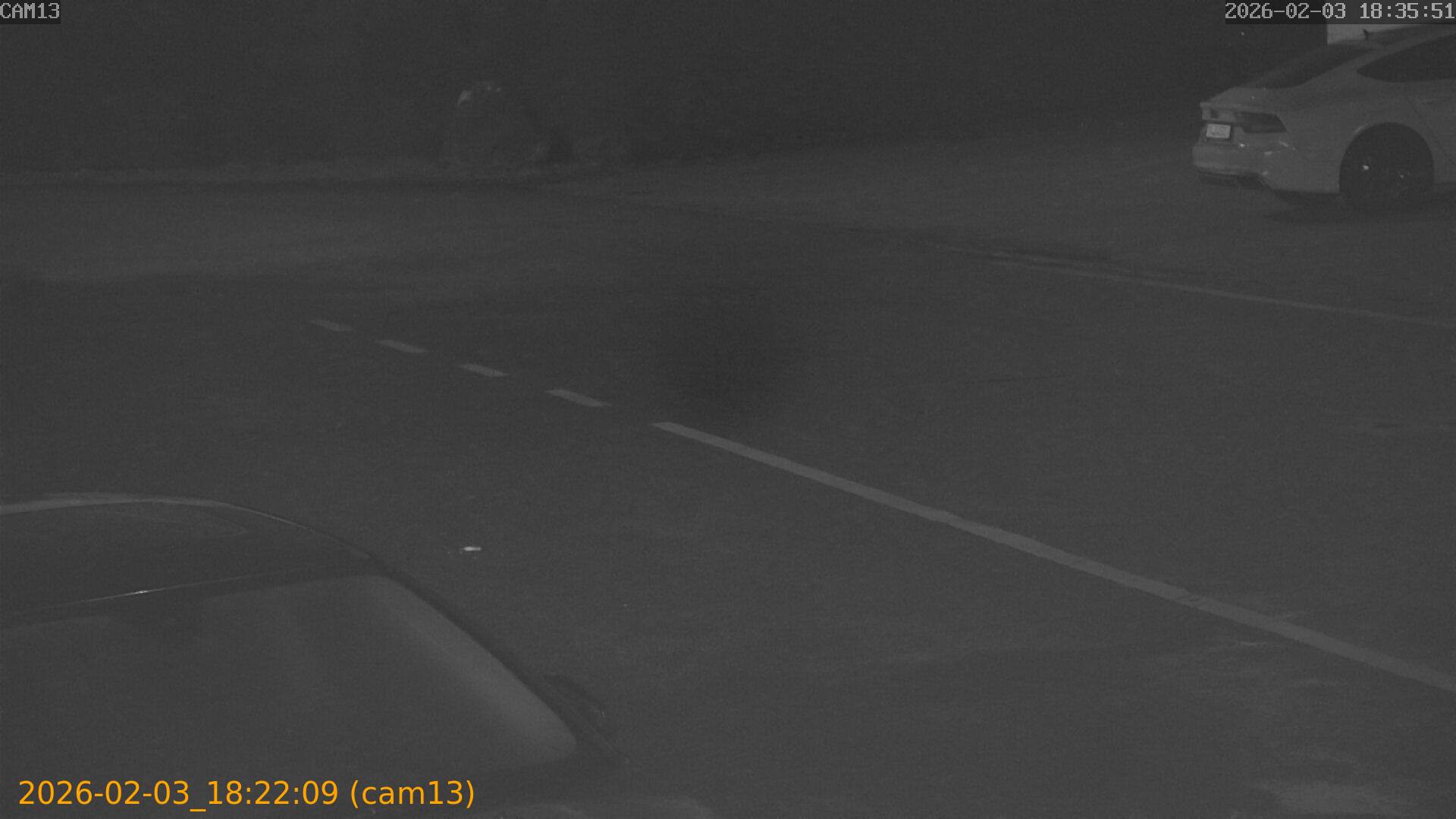 thumbnail_20260203182209