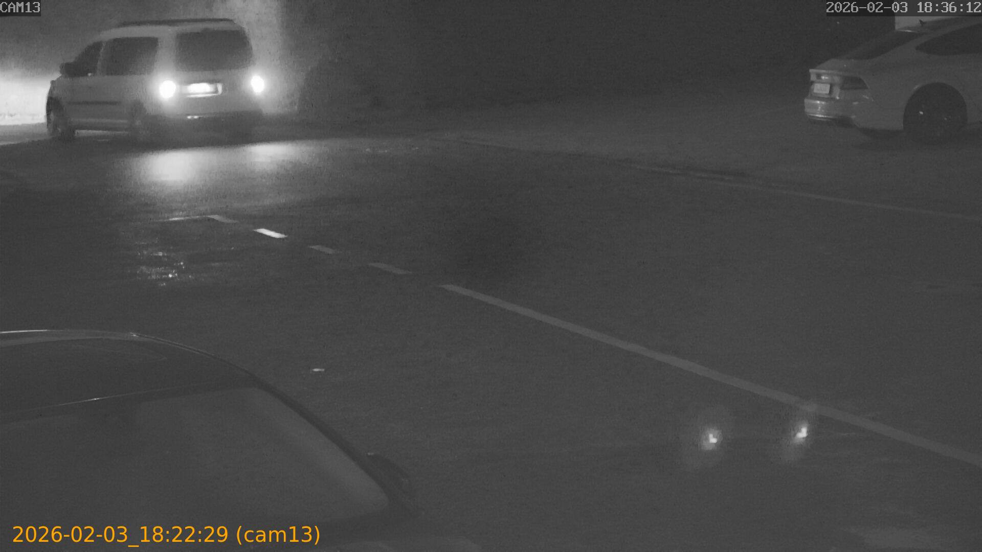 thumbnail_20260203182229