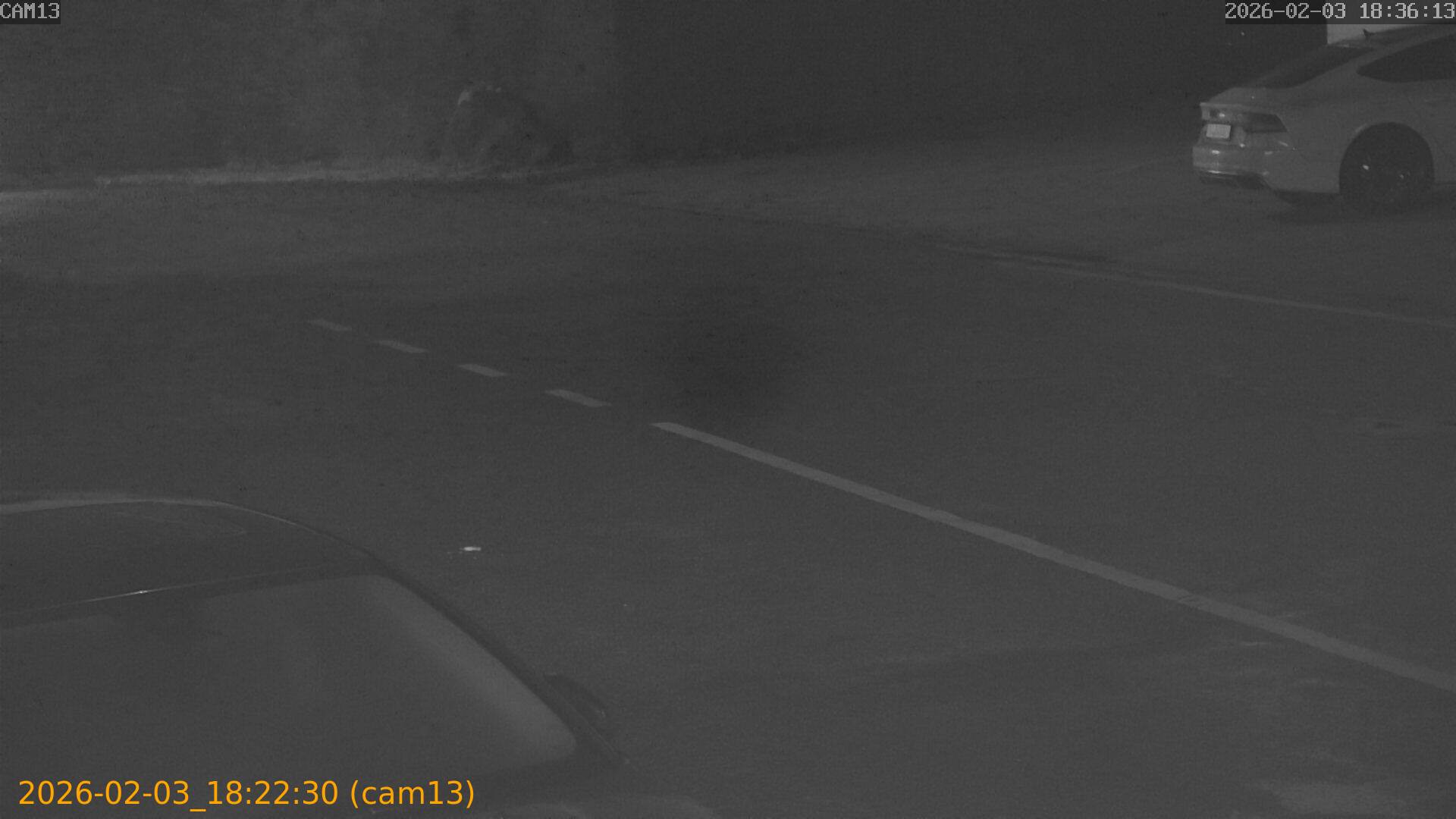 thumbnail_20260203182230