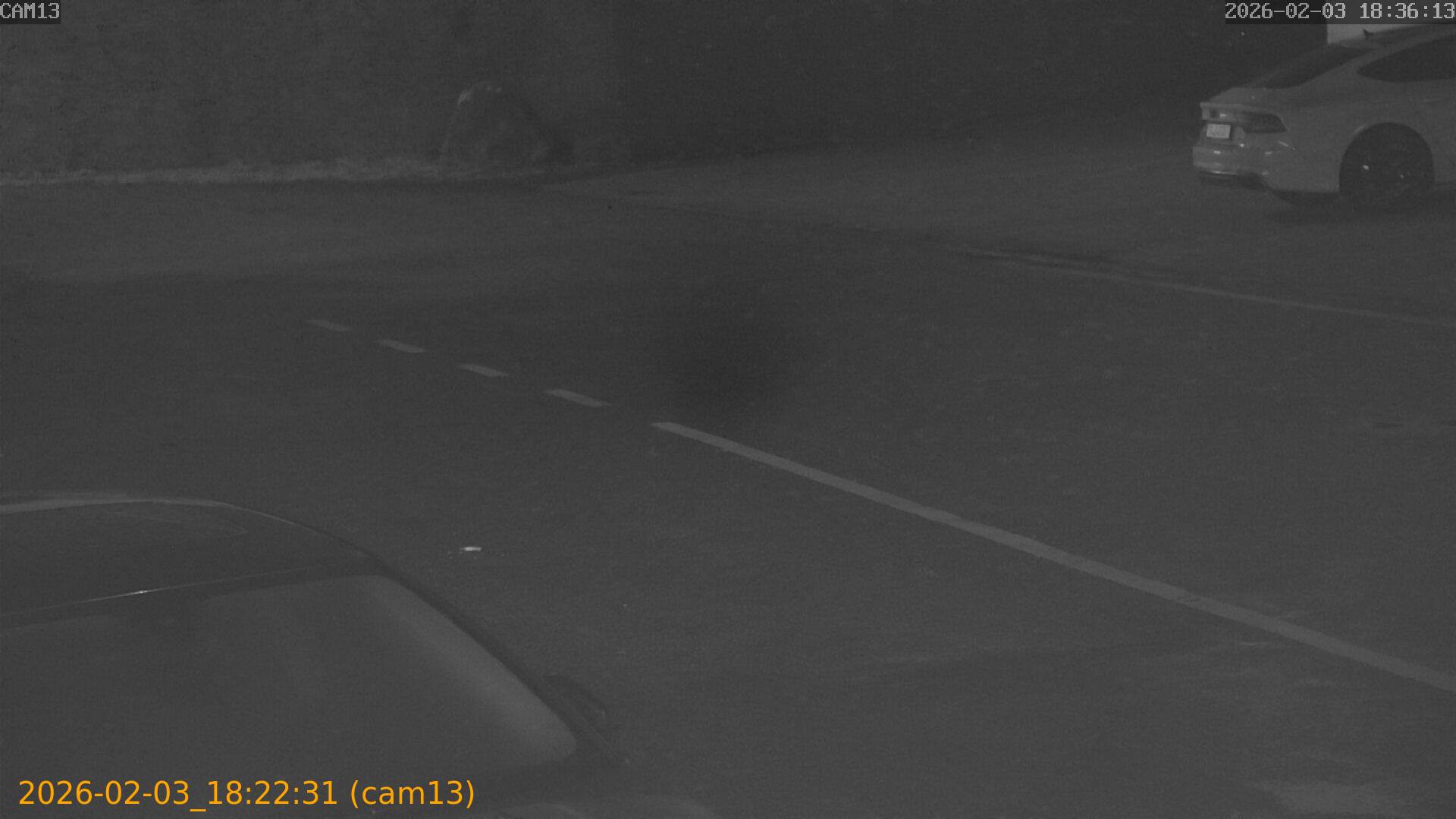 thumbnail_20260203182231