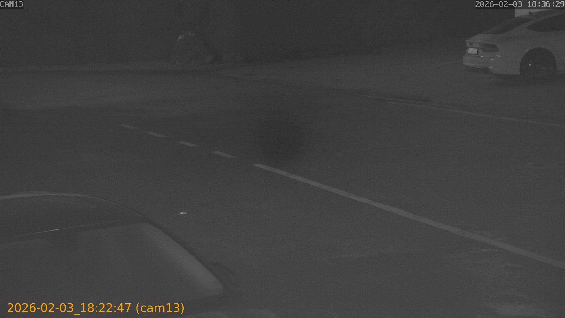 thumbnail_20260203182247