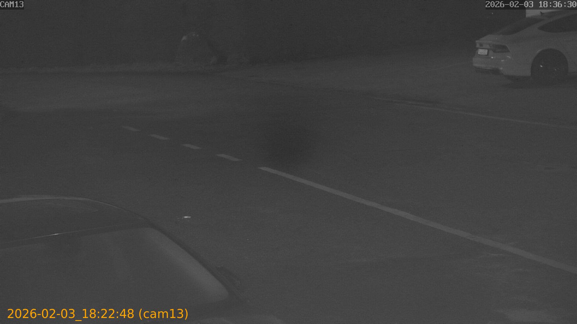 thumbnail_20260203182248