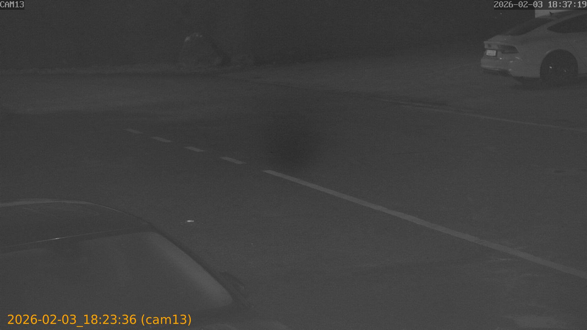 thumbnail_20260203182336