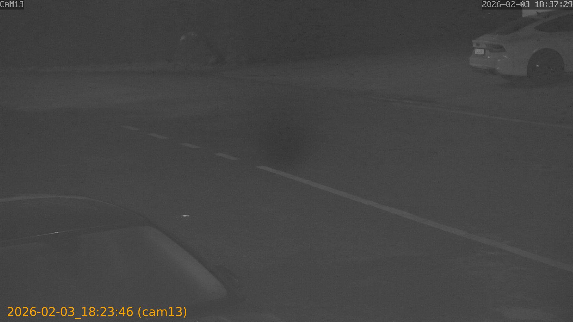 thumbnail_20260203182346