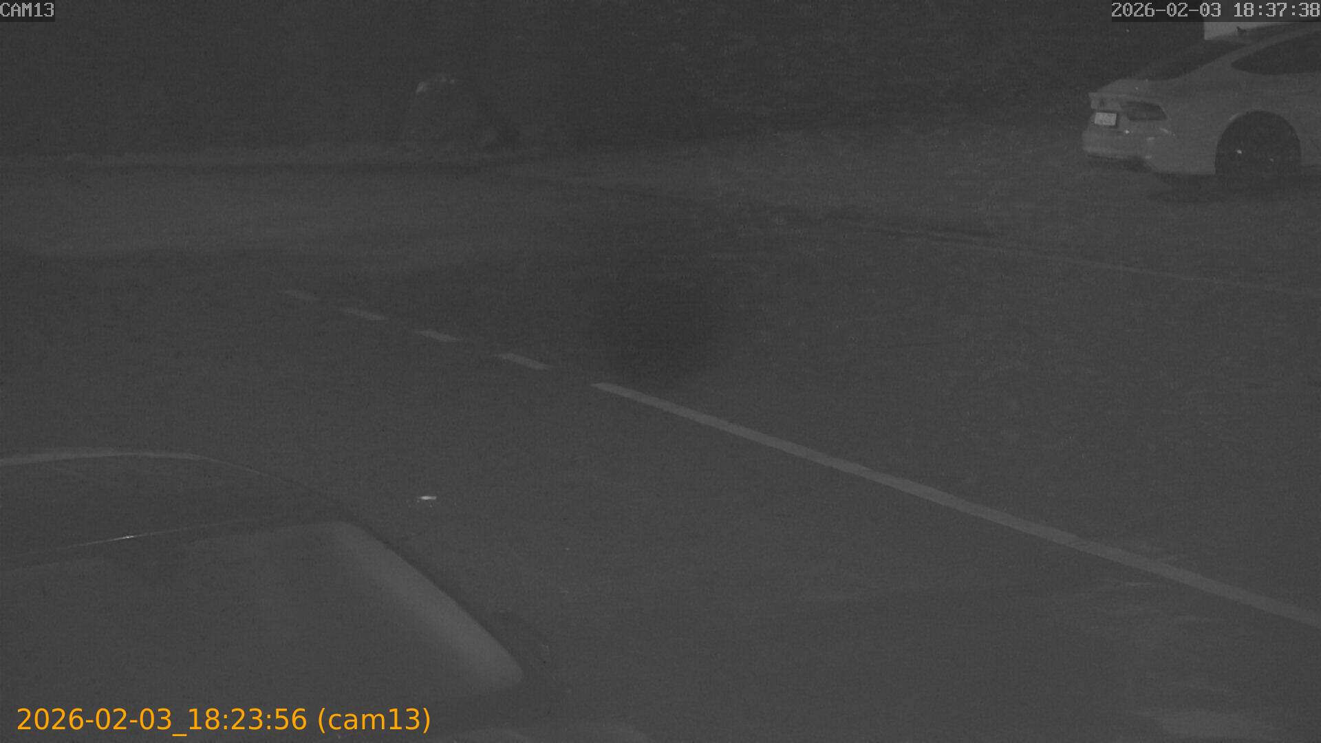 thumbnail_20260203182355