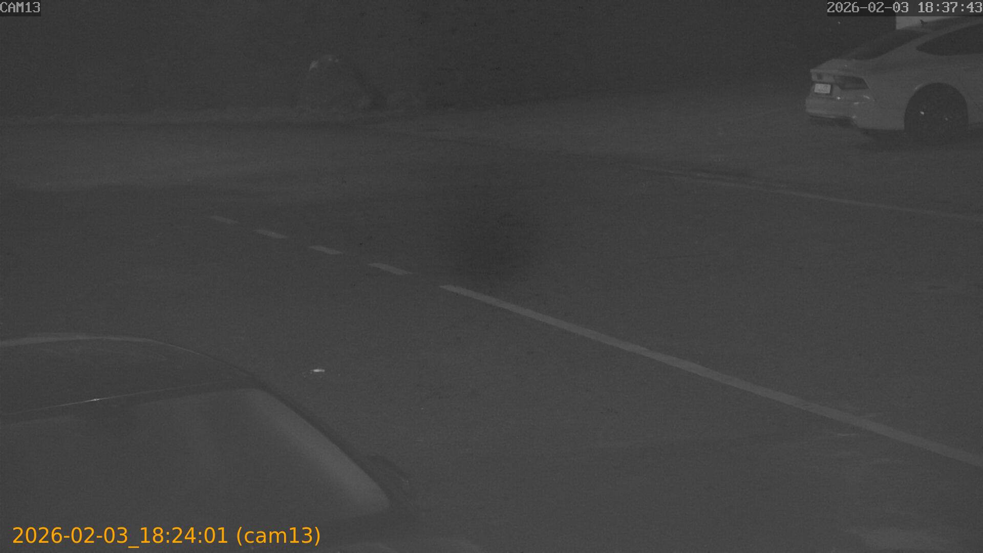 thumbnail_20260203182401