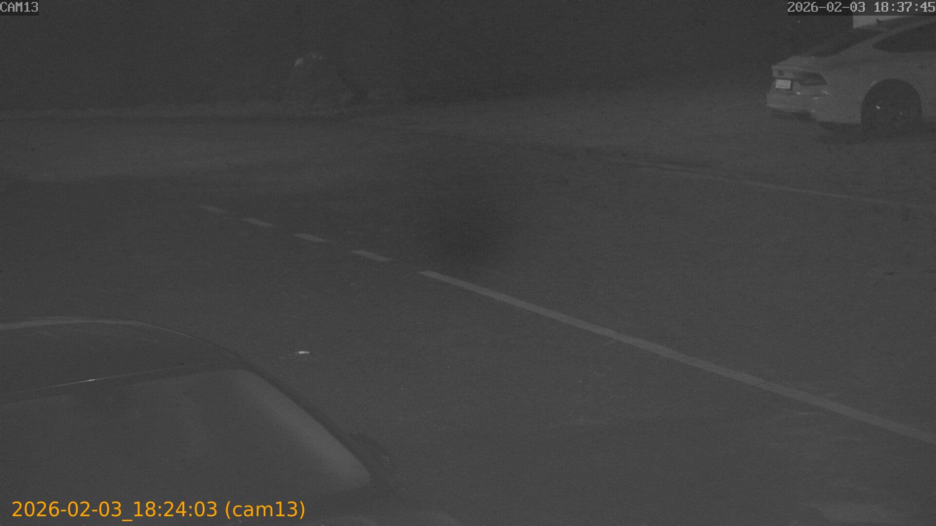 thumbnail_20260203182403