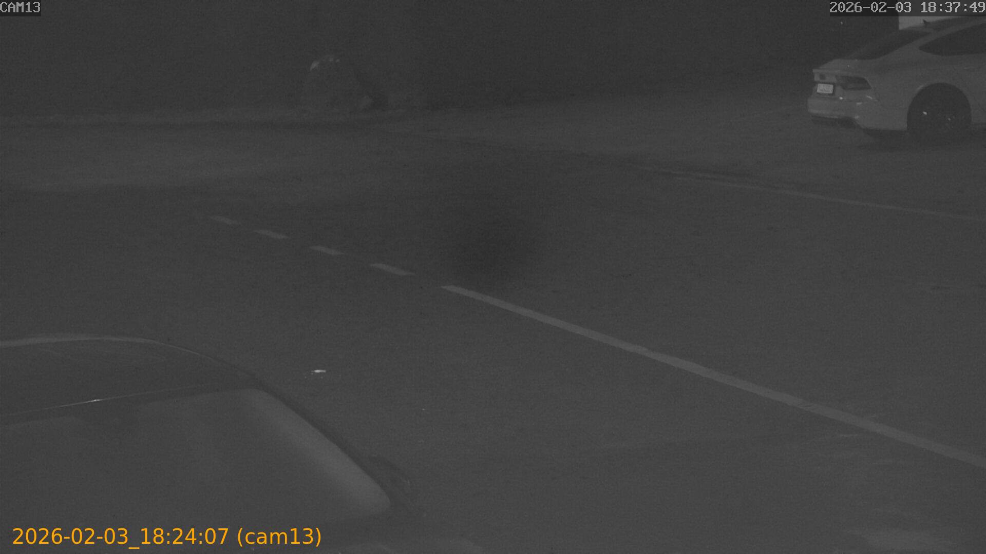 thumbnail_20260203182407