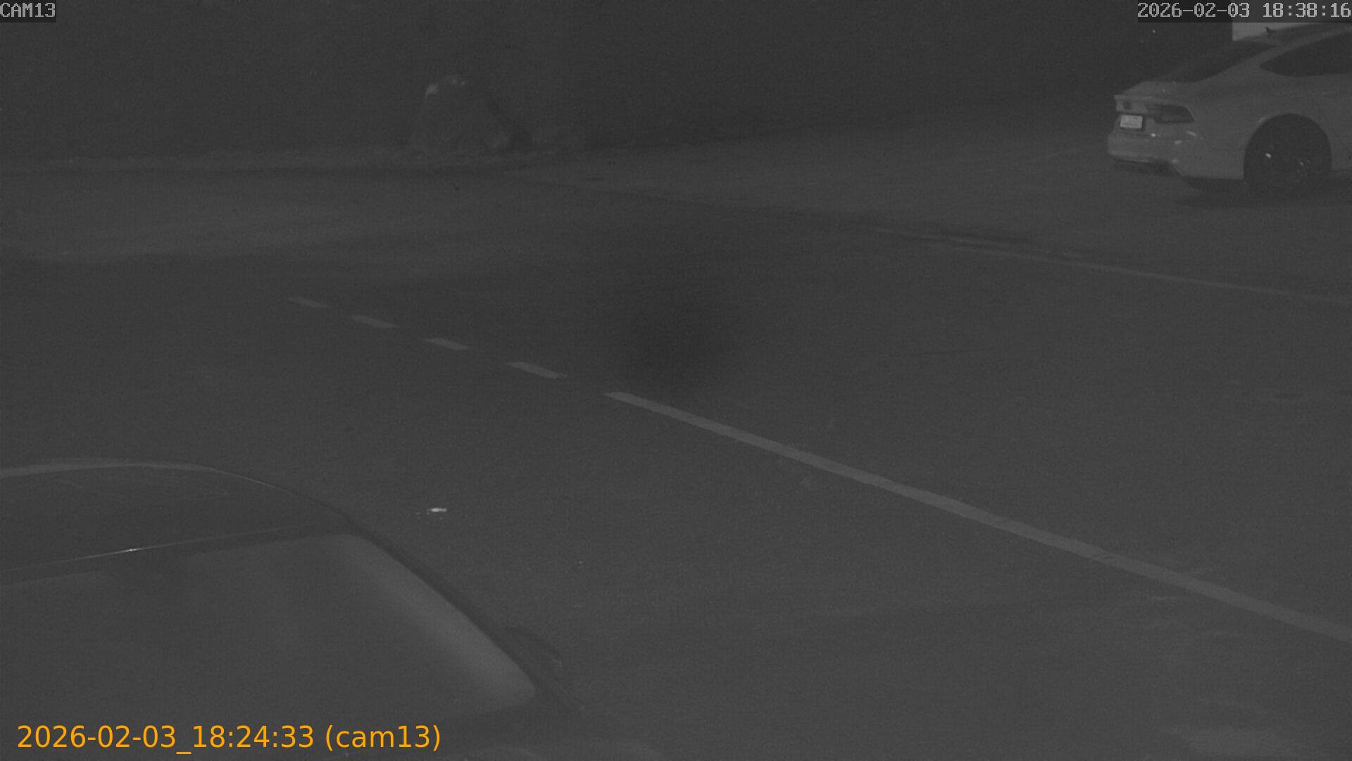 thumbnail_20260203182433