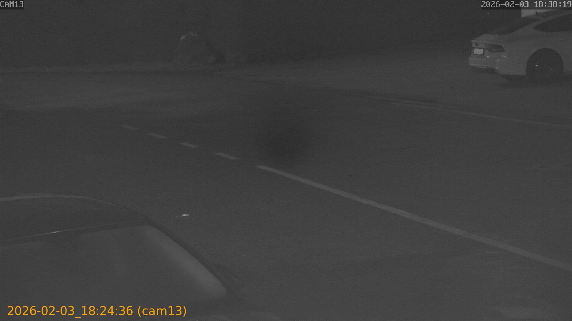 thumbnail_20260203182436