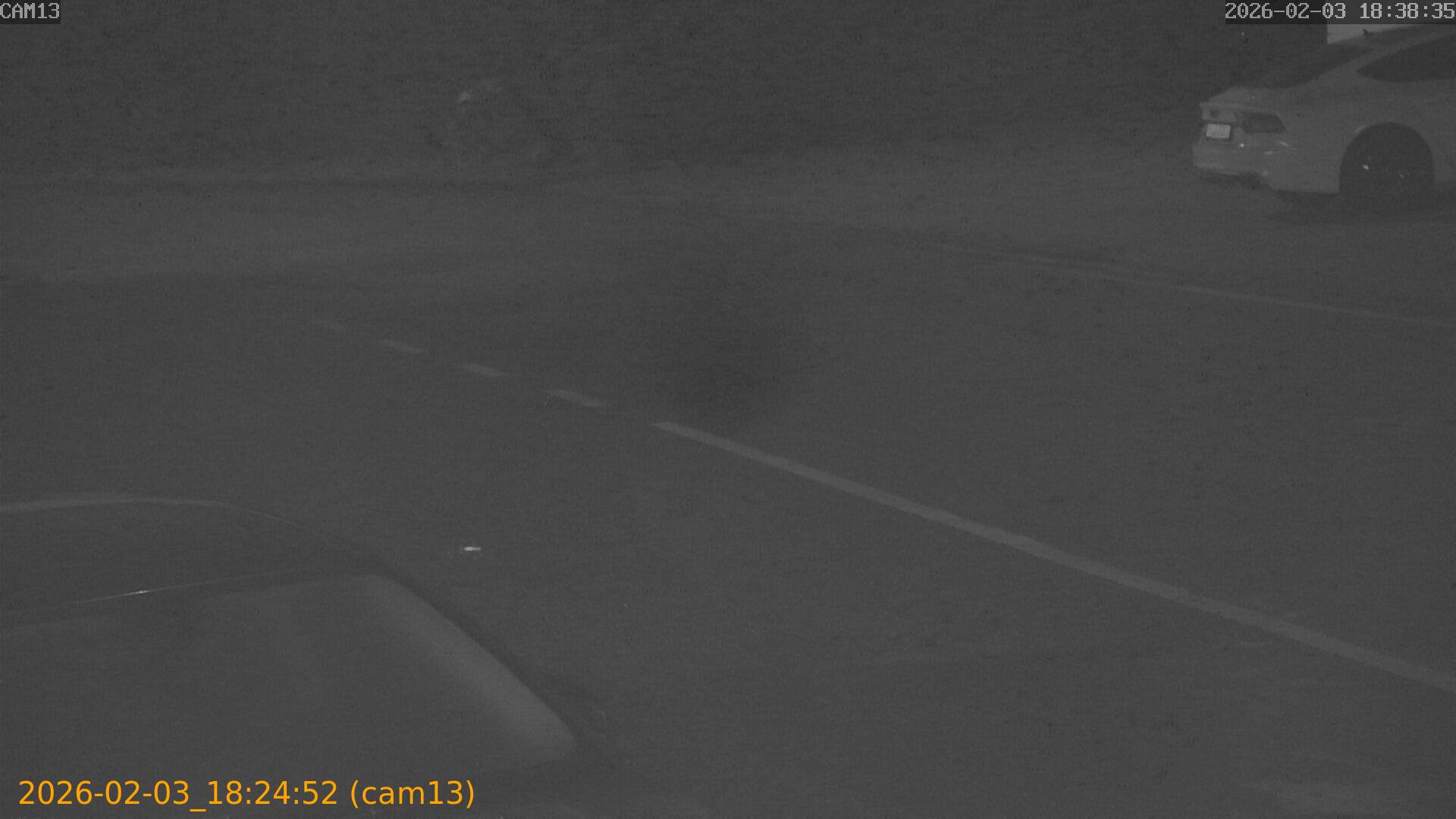 thumbnail_20260203182452