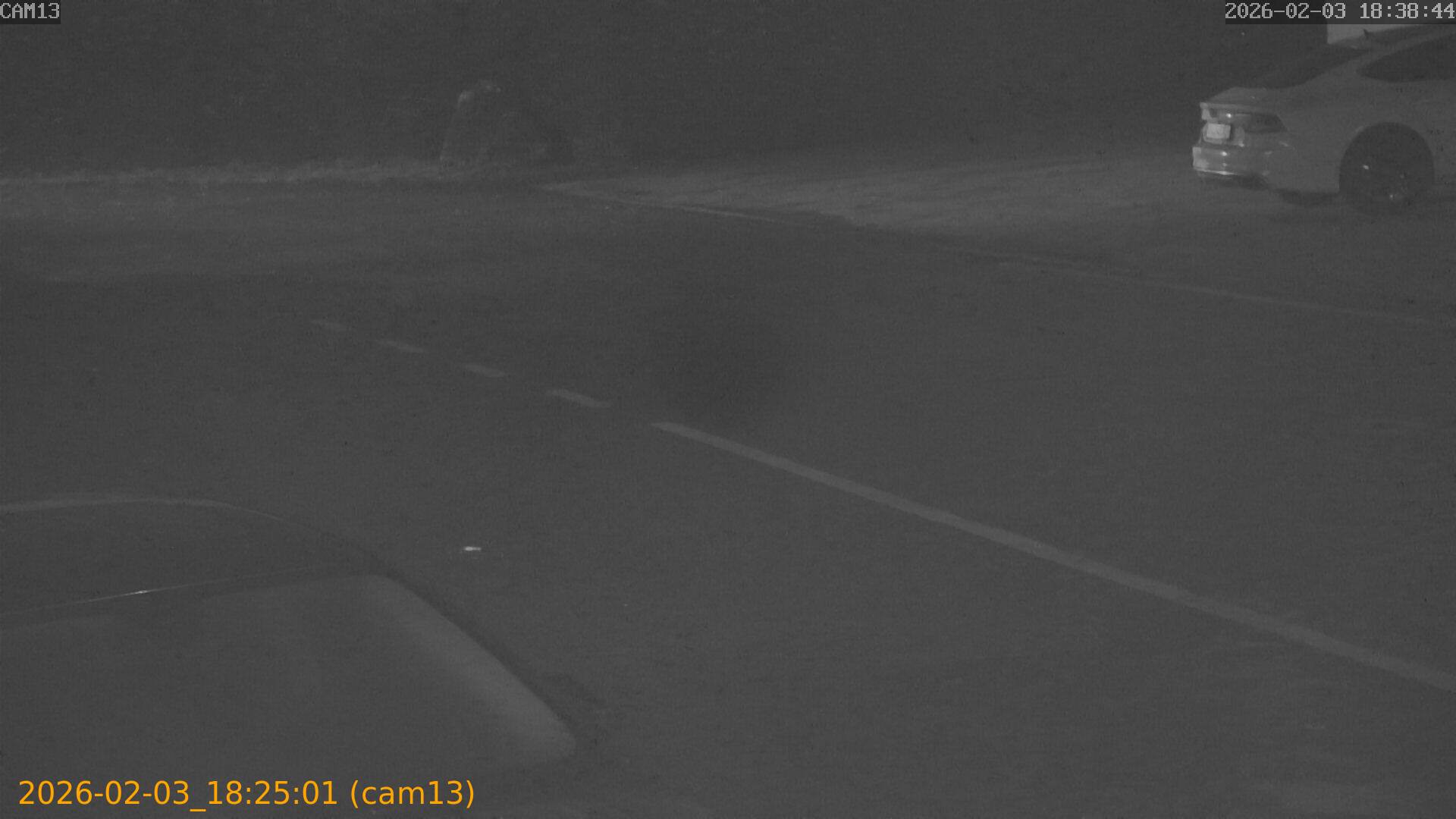 thumbnail_20260203182501