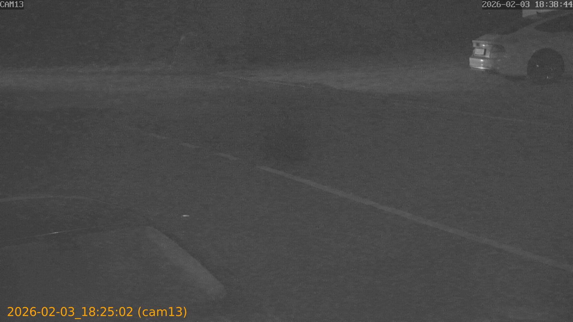 thumbnail_20260203182502