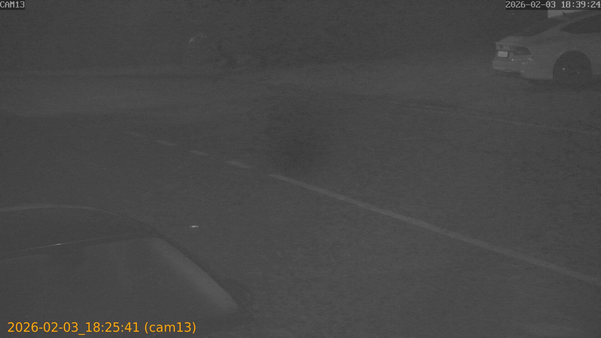 thumbnail_20260203182541