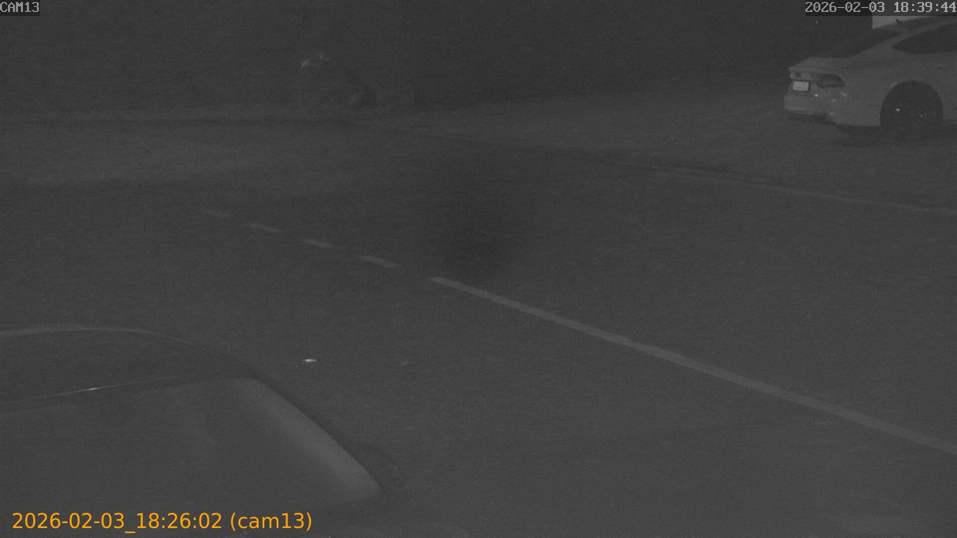 thumbnail_20260203182602