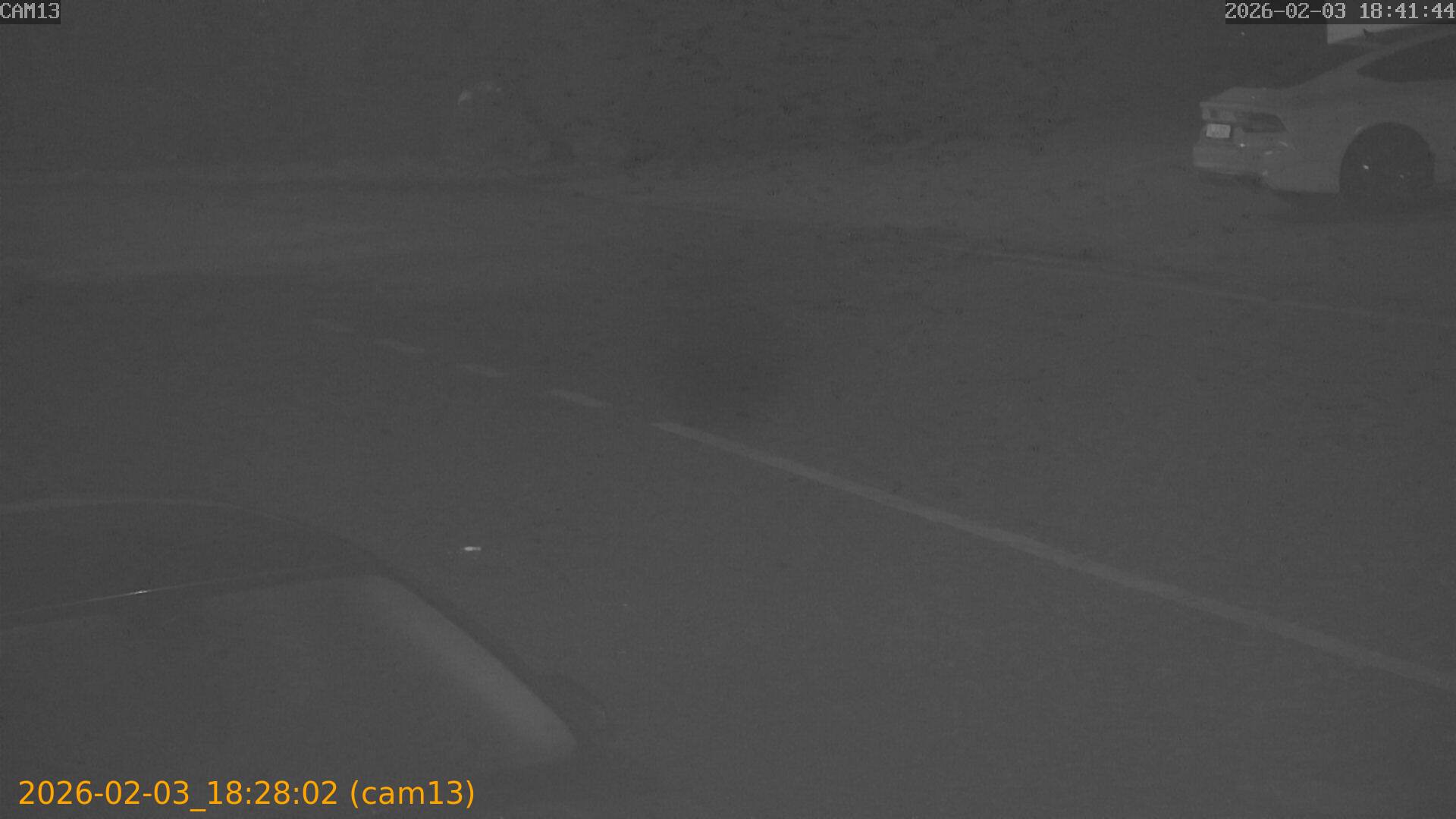 thumbnail_20260203182802