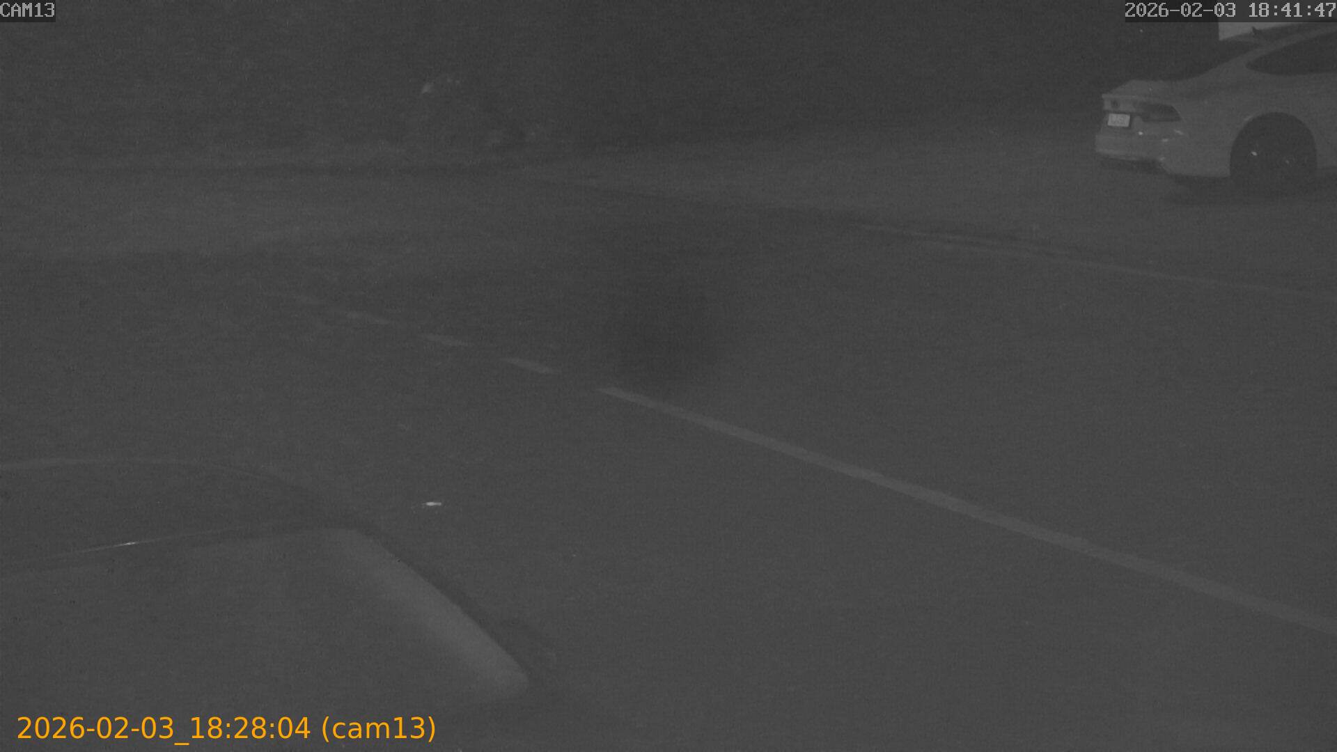 thumbnail_20260203182804