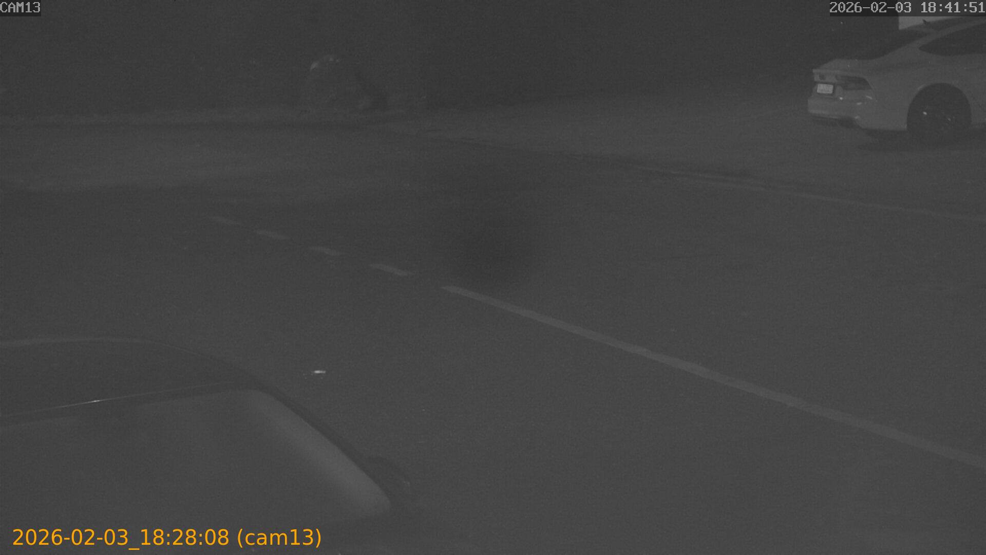 thumbnail_20260203182808