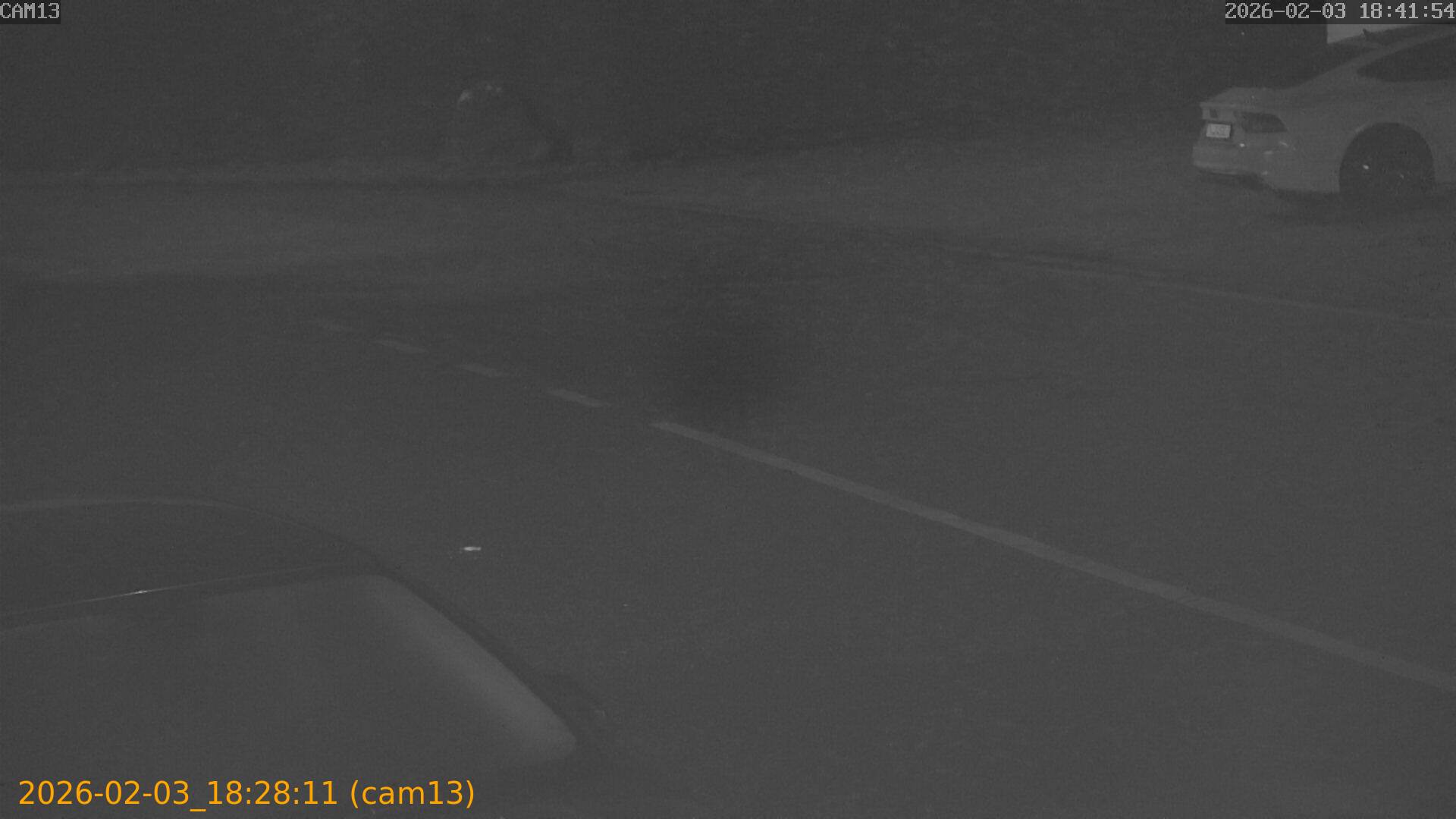 thumbnail_20260203182811