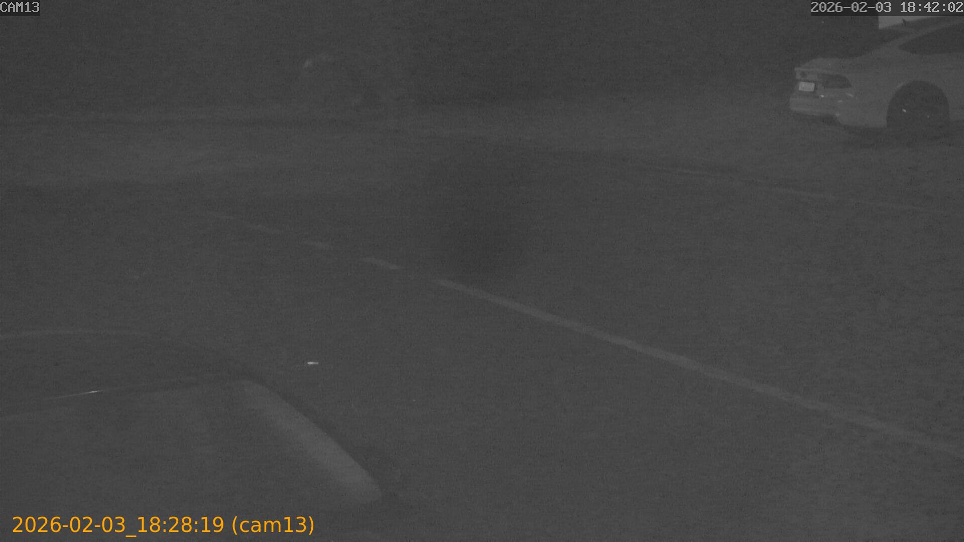 thumbnail_20260203182819