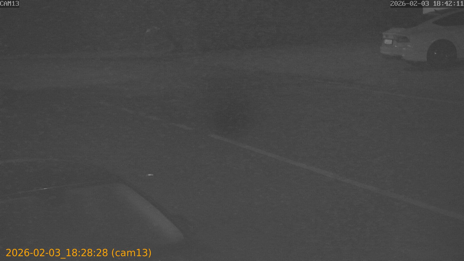 thumbnail_20260203182828