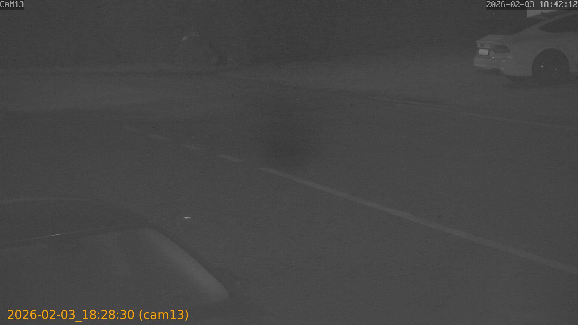 thumbnail_20260203182830