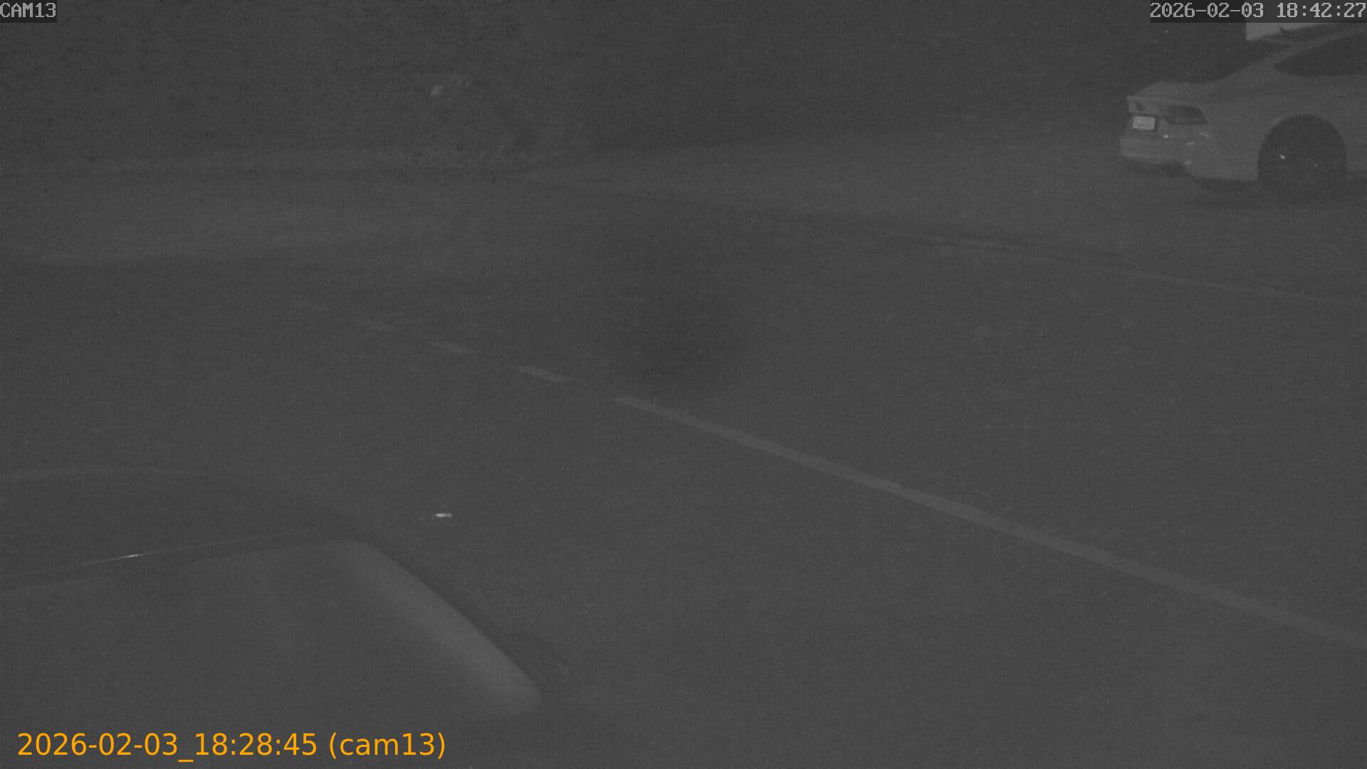 thumbnail_20260203182844