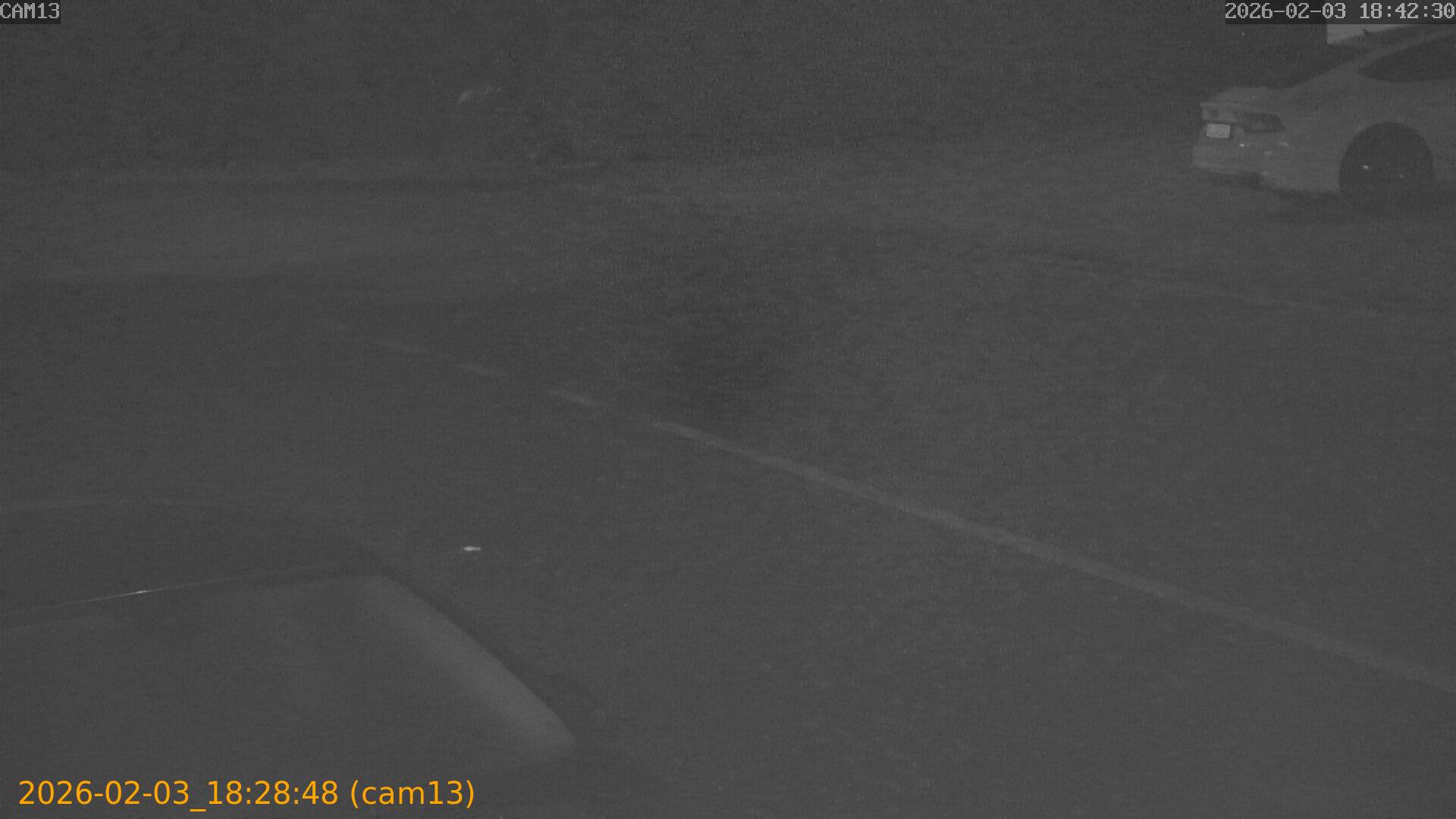 thumbnail_20260203182847