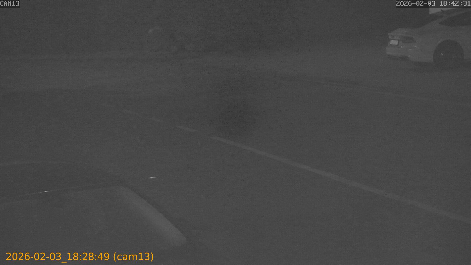 thumbnail_20260203182849