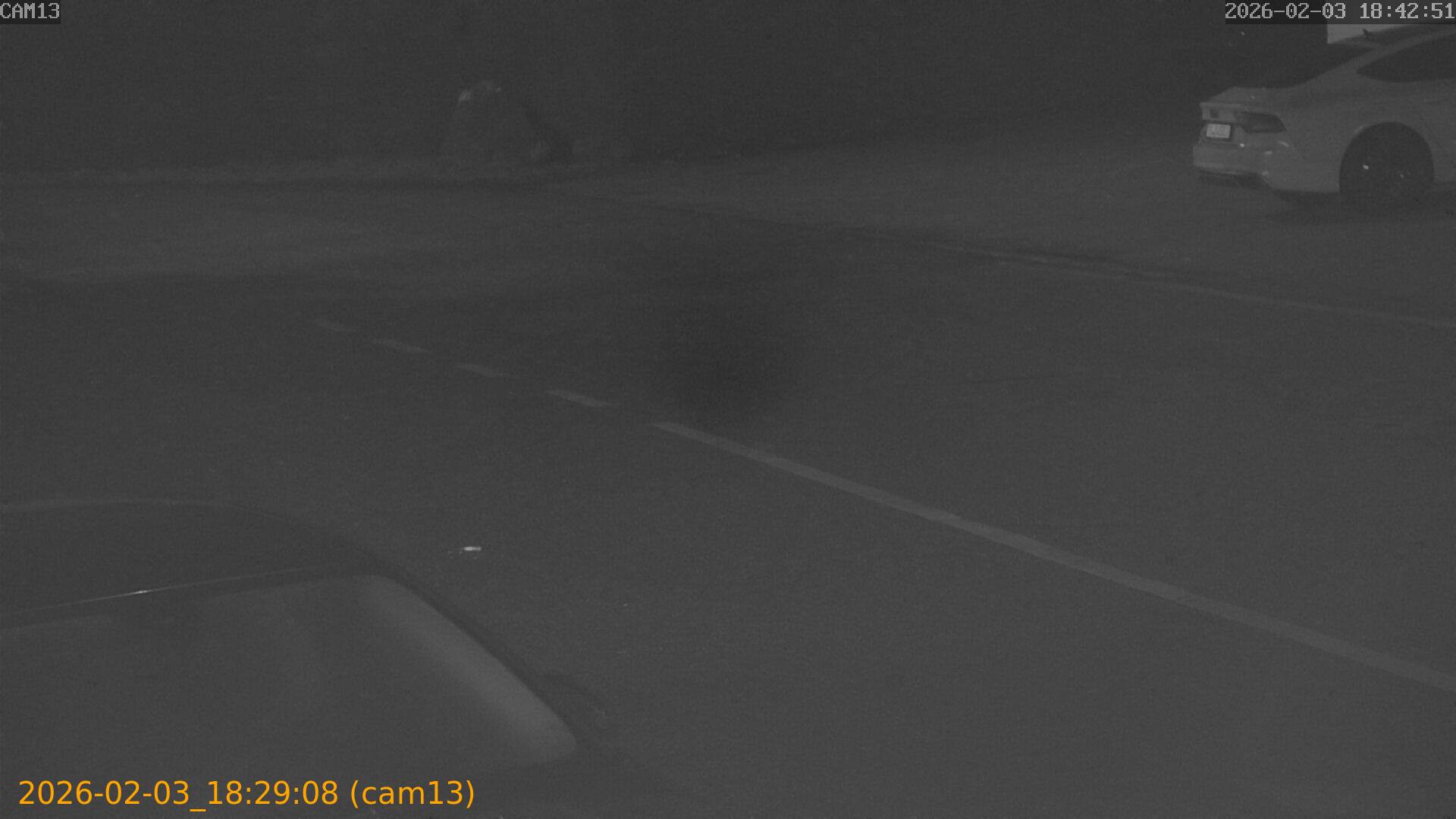 thumbnail_20260203182908