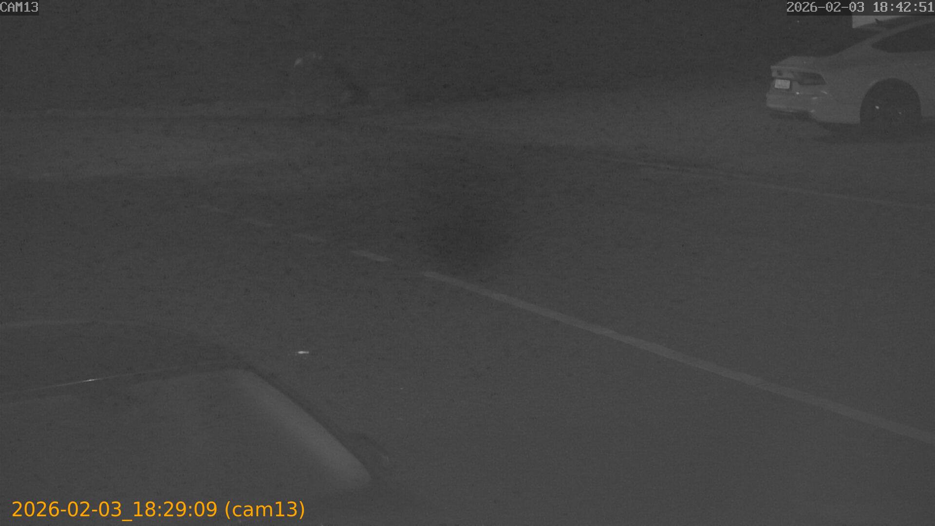 thumbnail_20260203182909