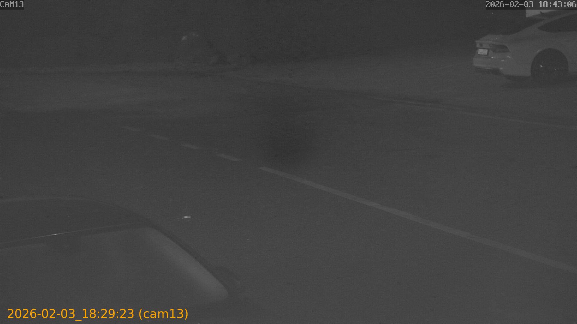 thumbnail_20260203182923