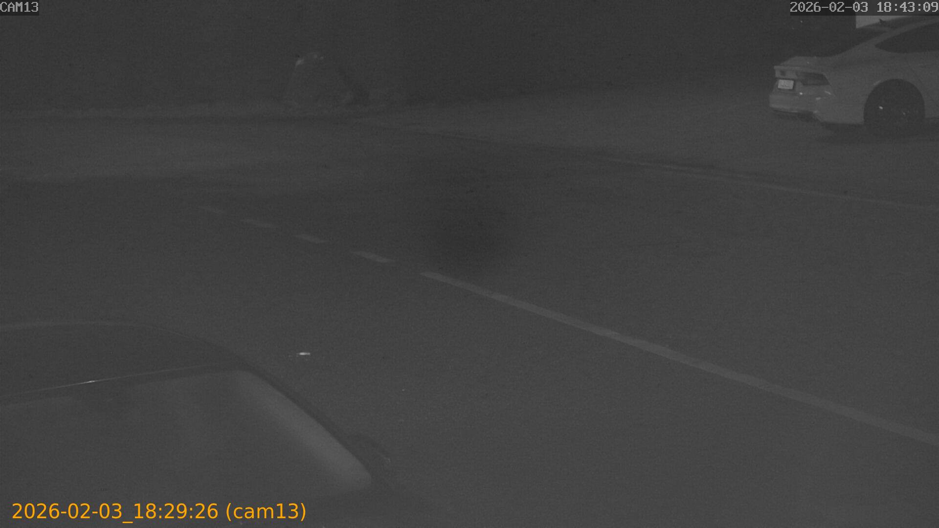 thumbnail_20260203182926