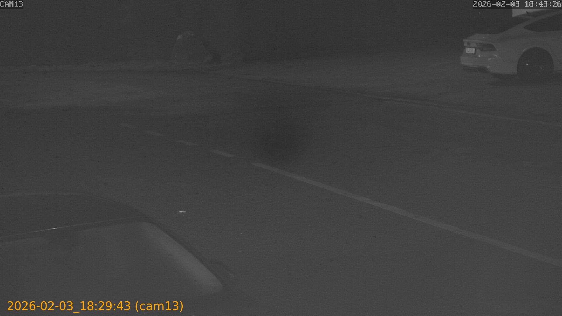 thumbnail_20260203182943