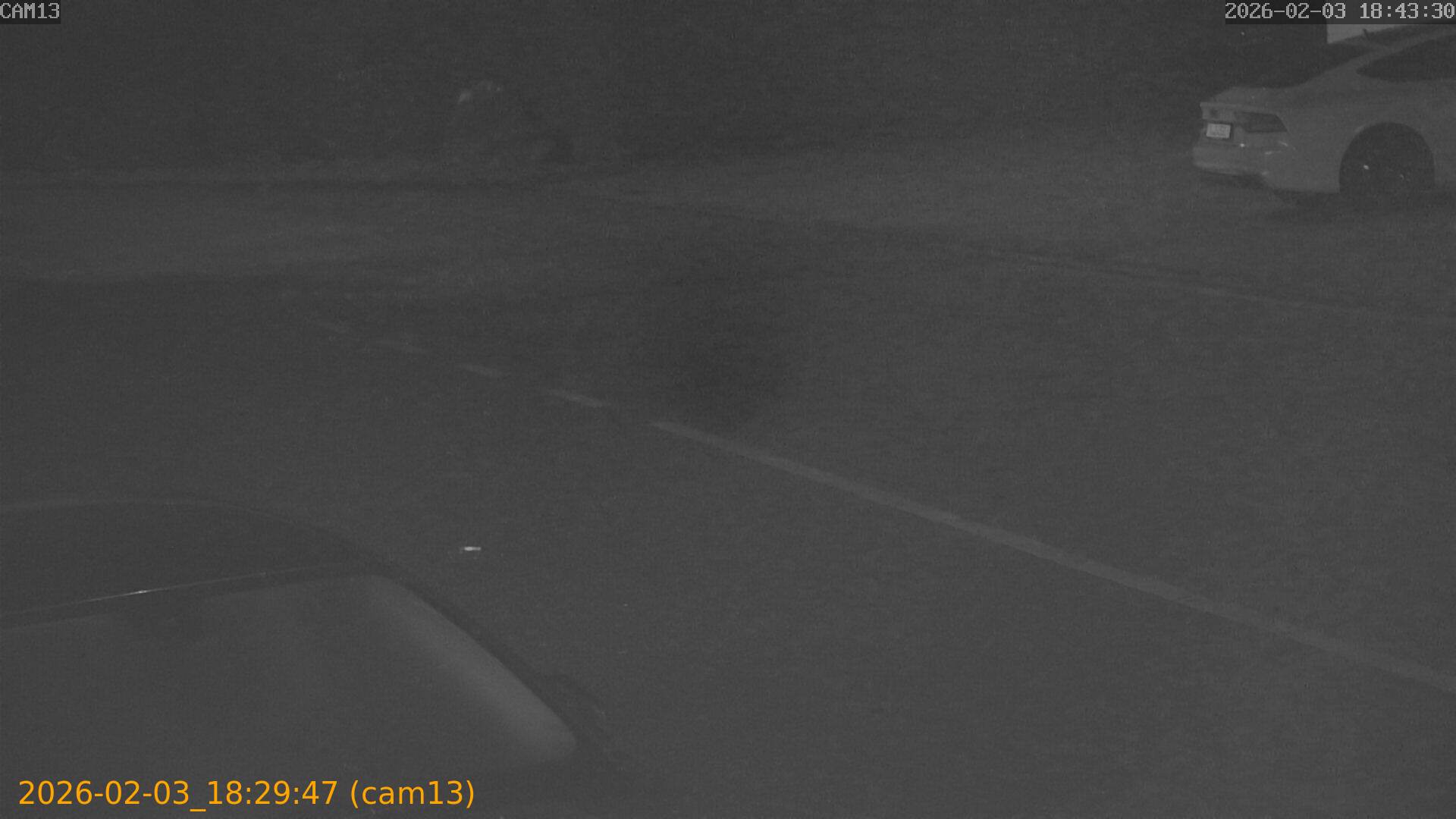 thumbnail_20260203182947