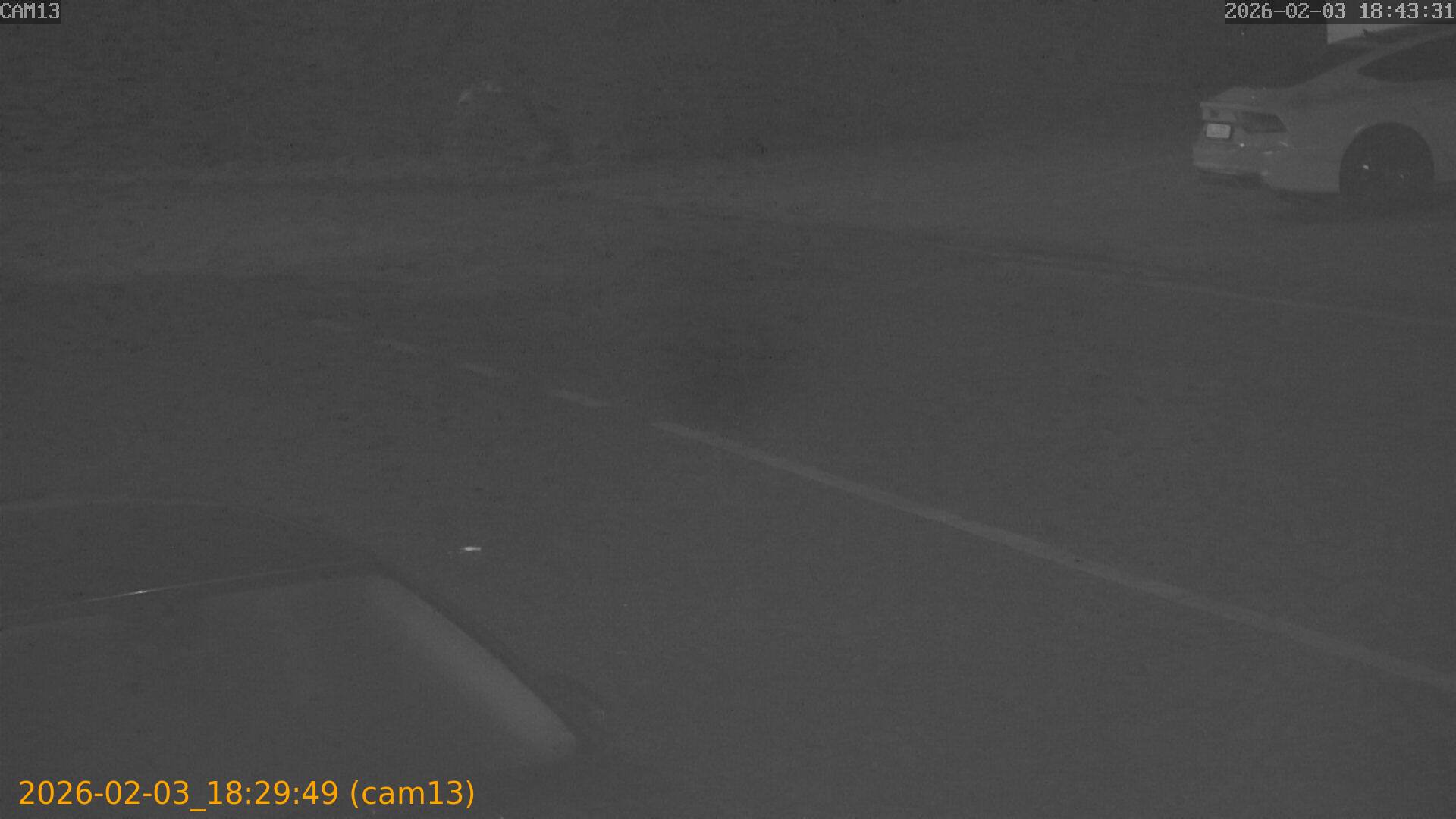 thumbnail_20260203182949